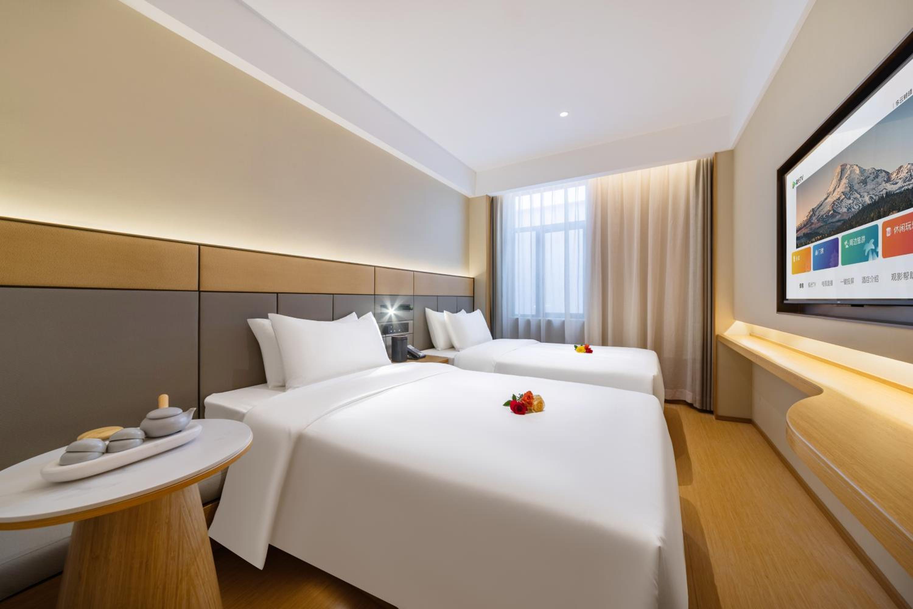 Deluxe Twin Room photo 1