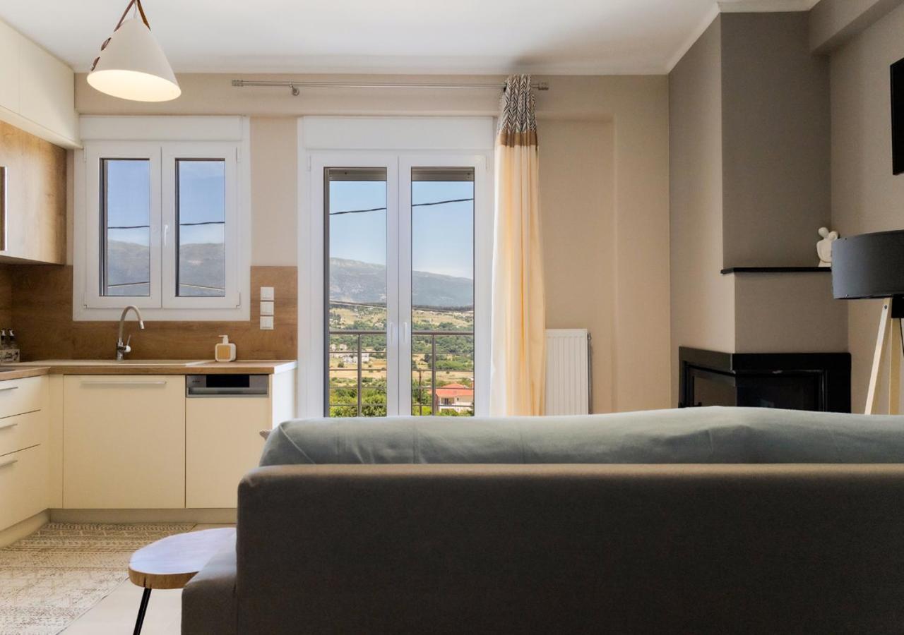 Deluxe One-Bedroom Apartment with City View photo 1