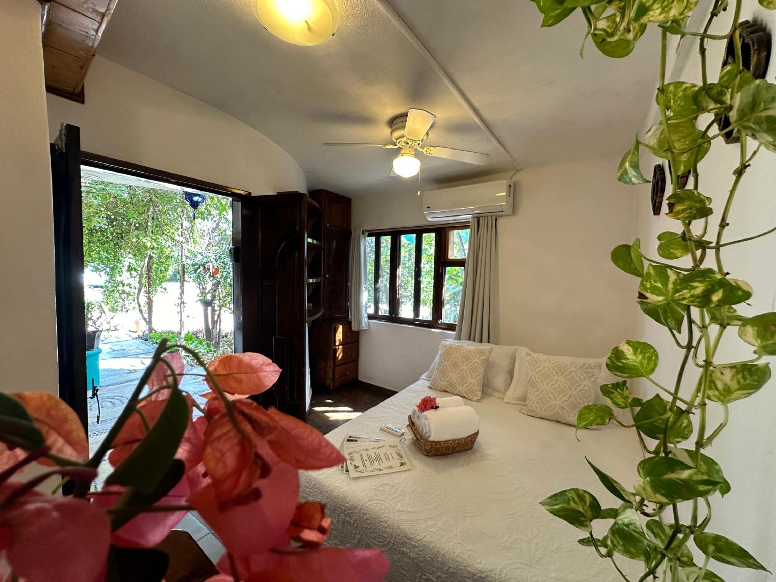 Studio with Garden View - Photo 16