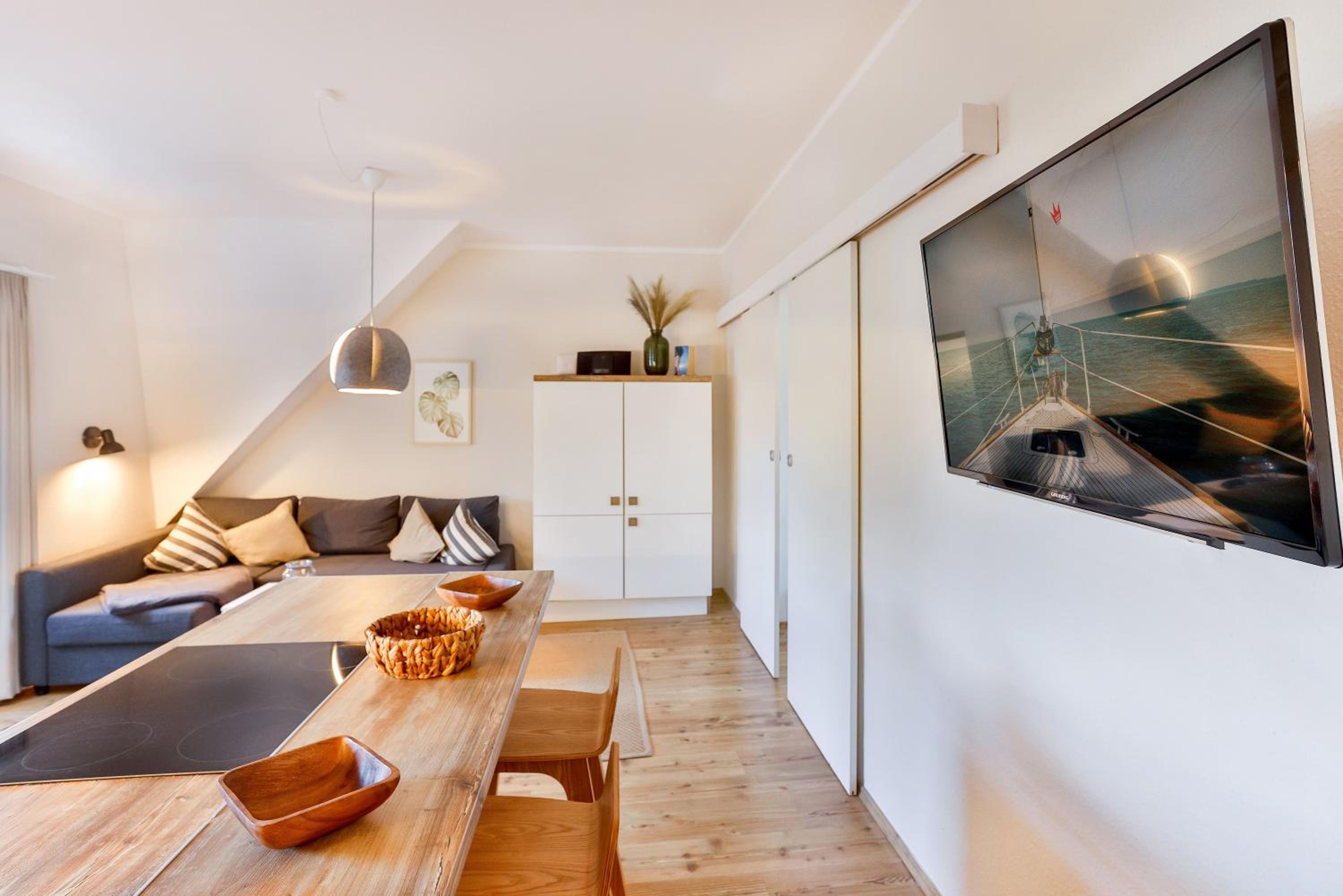 Large Apartment photo 1