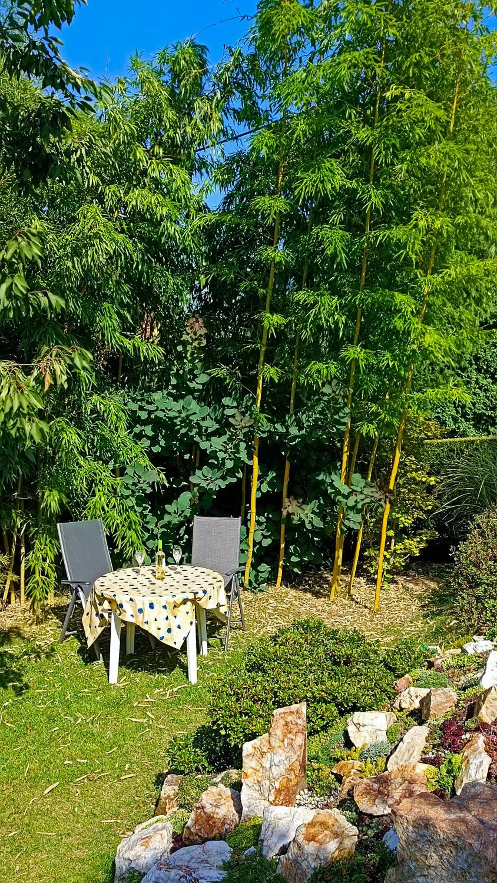 Apartment - Ground Floor photo 1