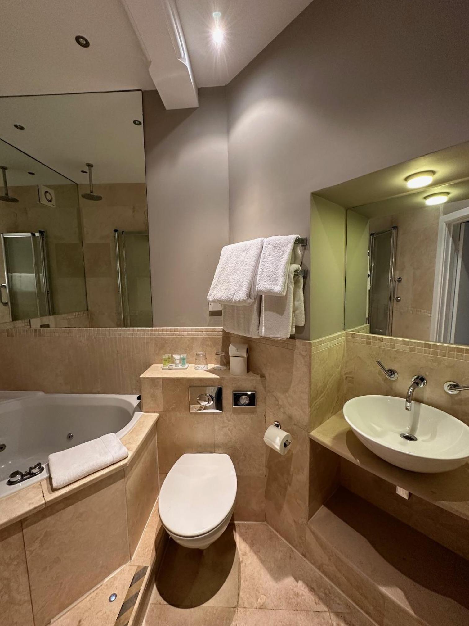 Luxury Suite - Photo 17