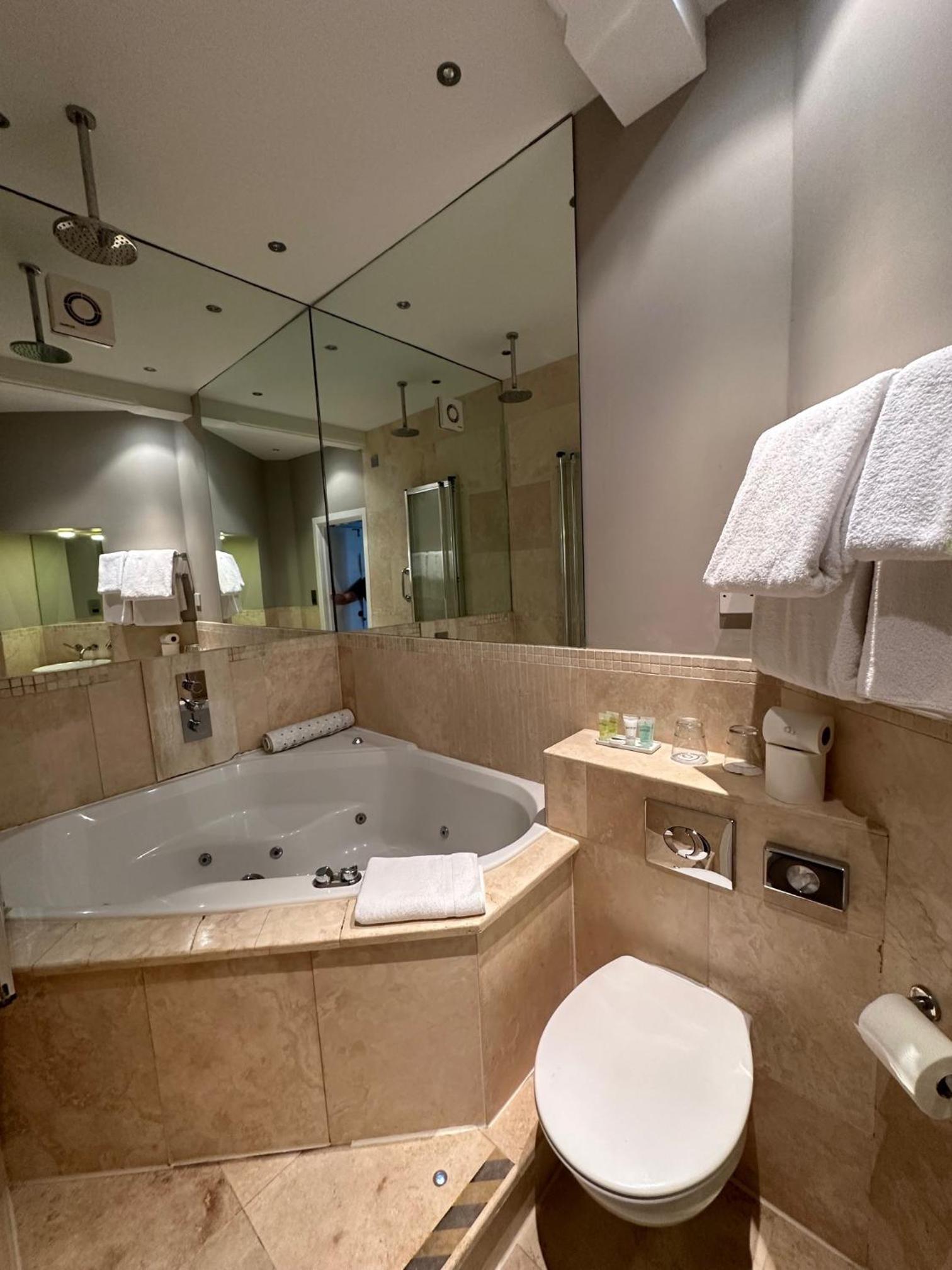Luxury Suite - Photo 18