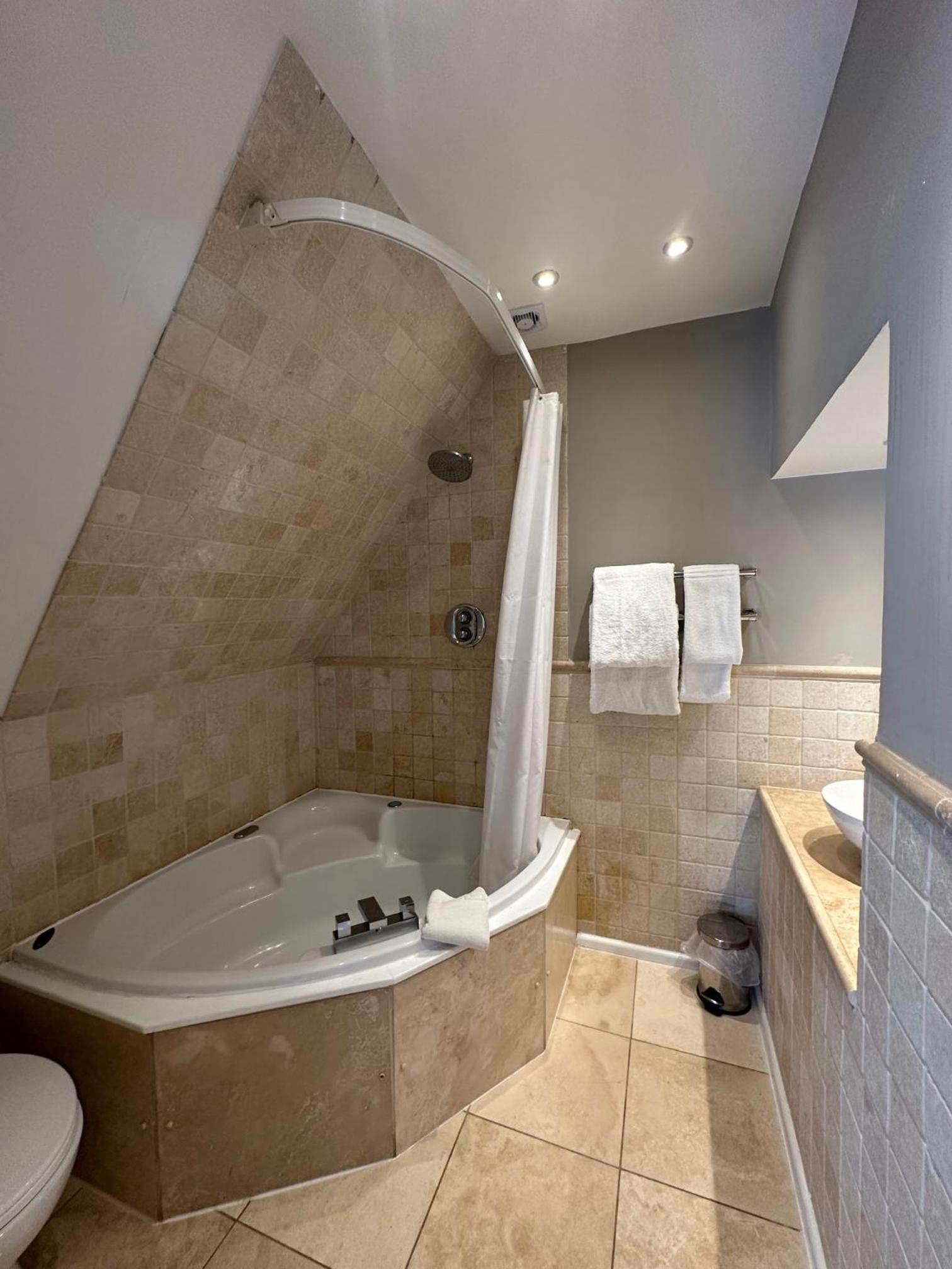 Luxury Suite - Photo 16