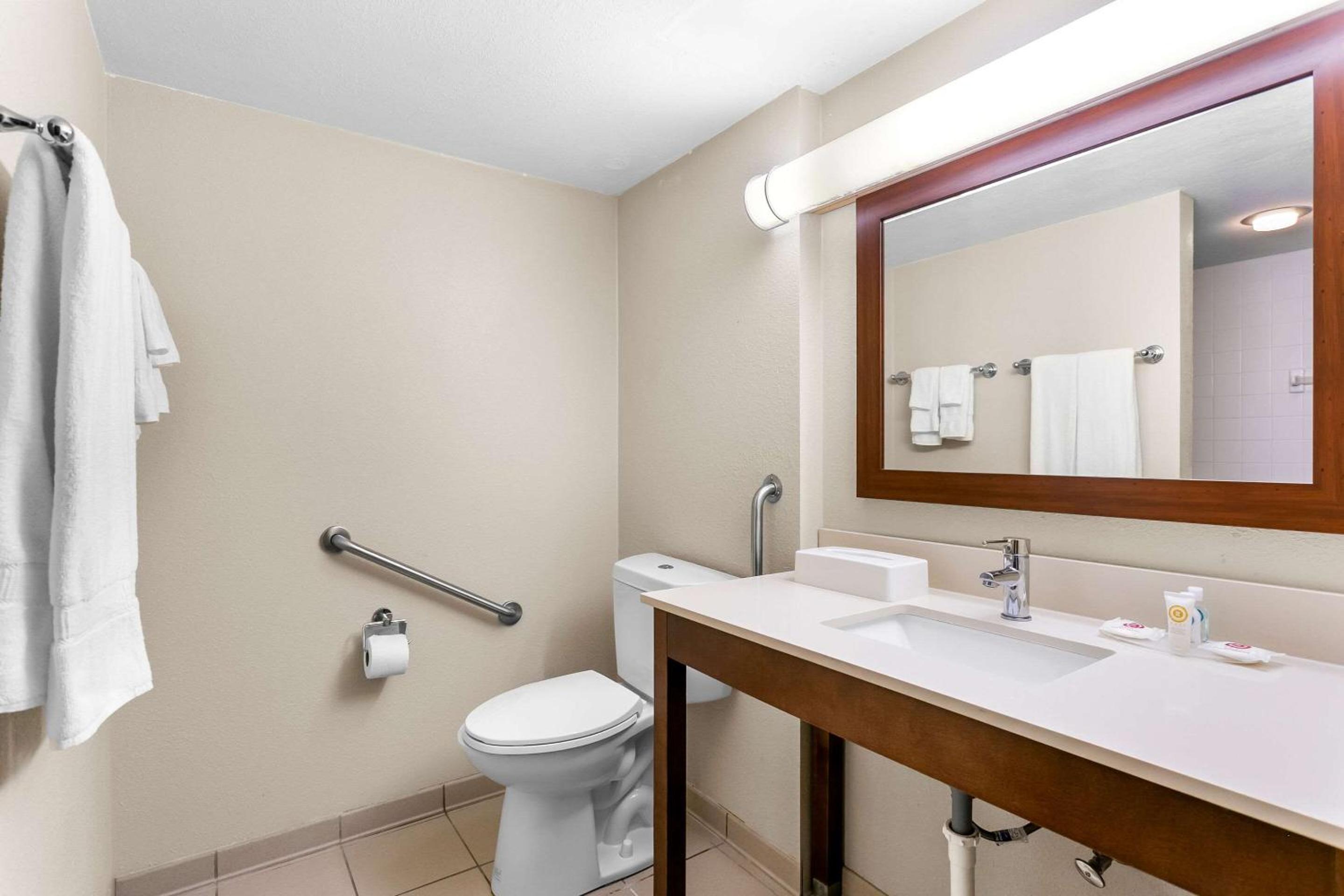 King Room - Accessible (Roll In Shower)-Non-Smoking - Photo 8