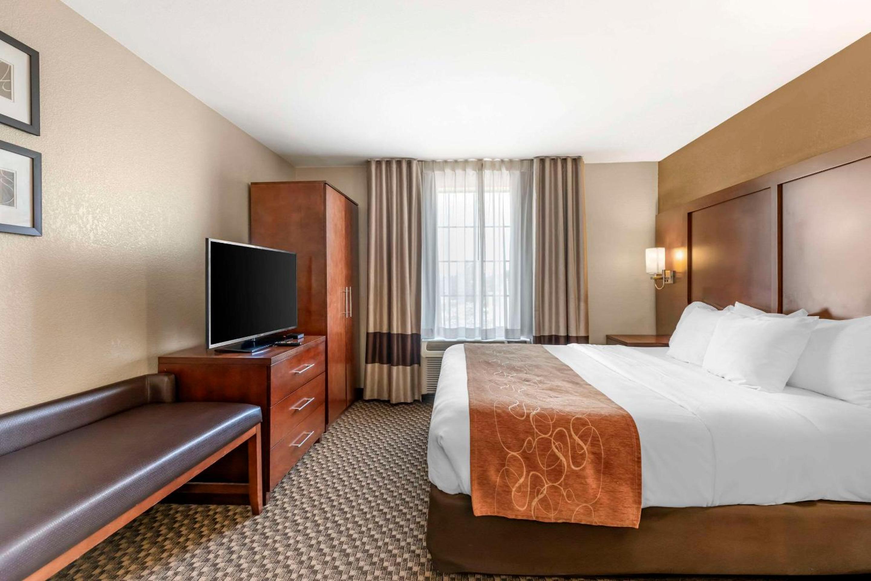 King Suite - Photo 3