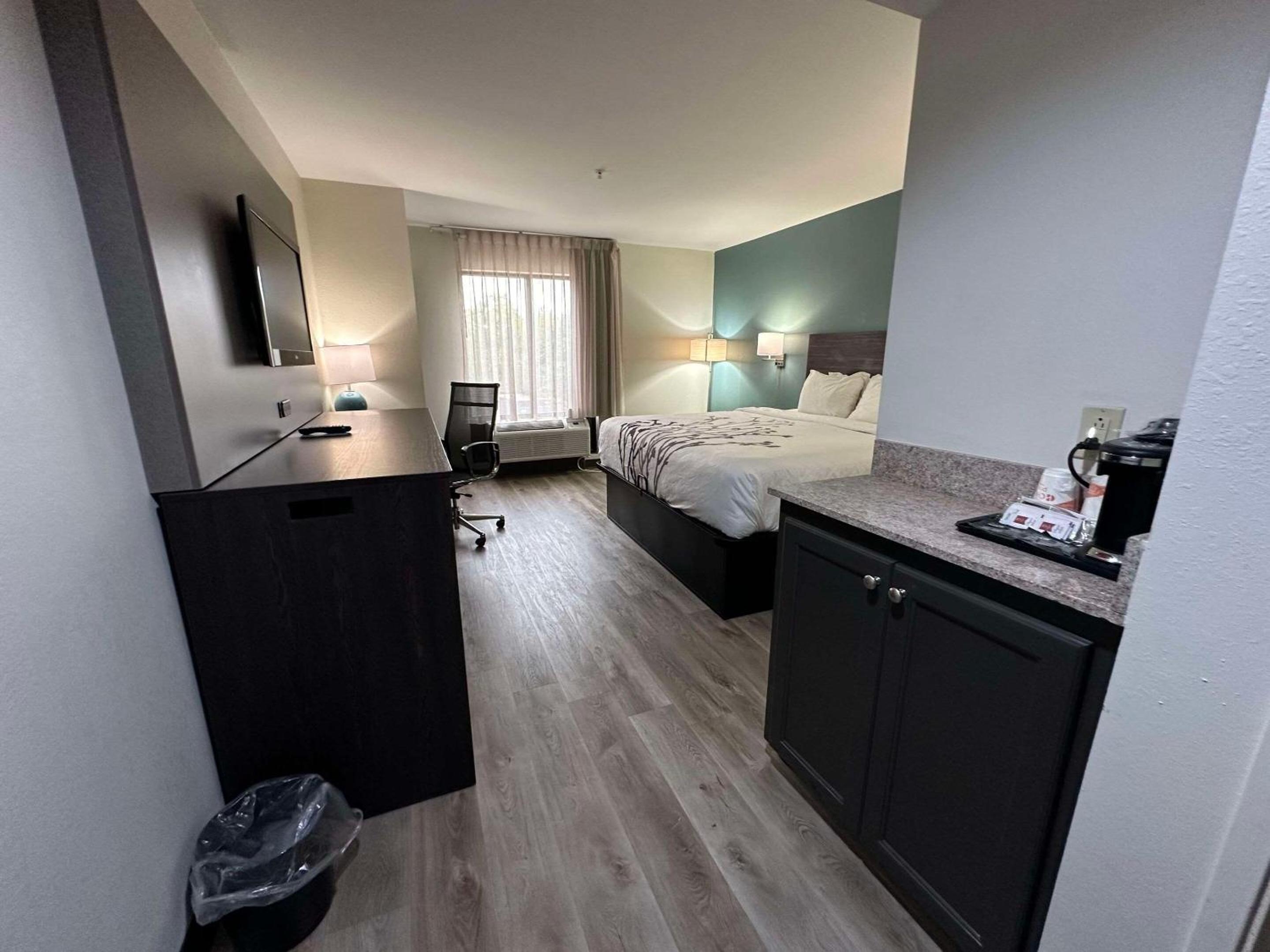 King Room - Non-Smoking - Photo 6
