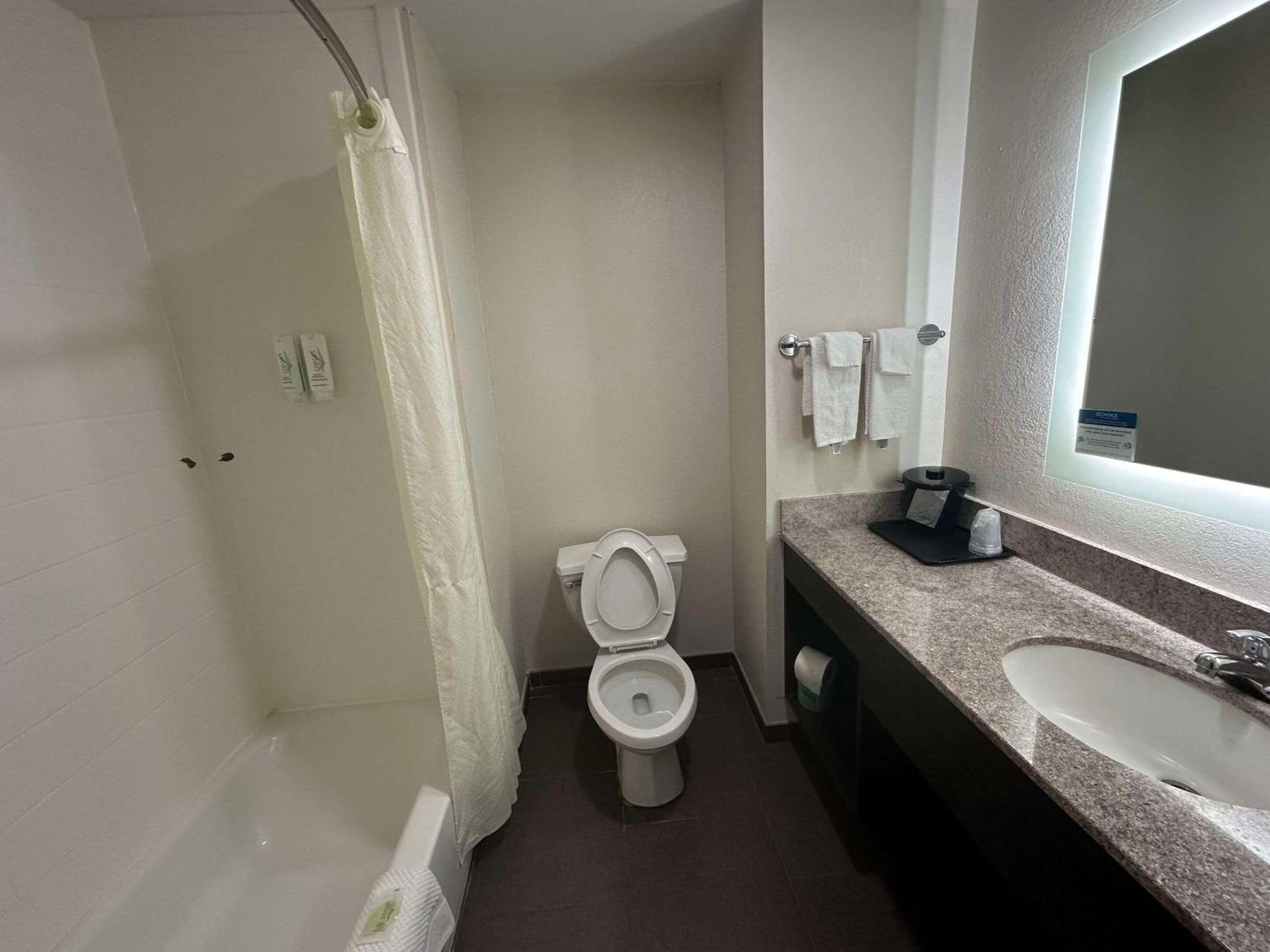 King Room - Non-Smoking - Photo 4