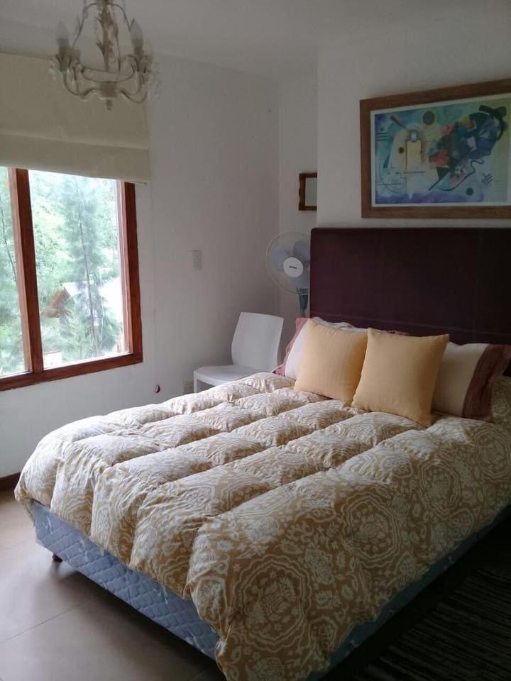 One-Bedroom House photo 1