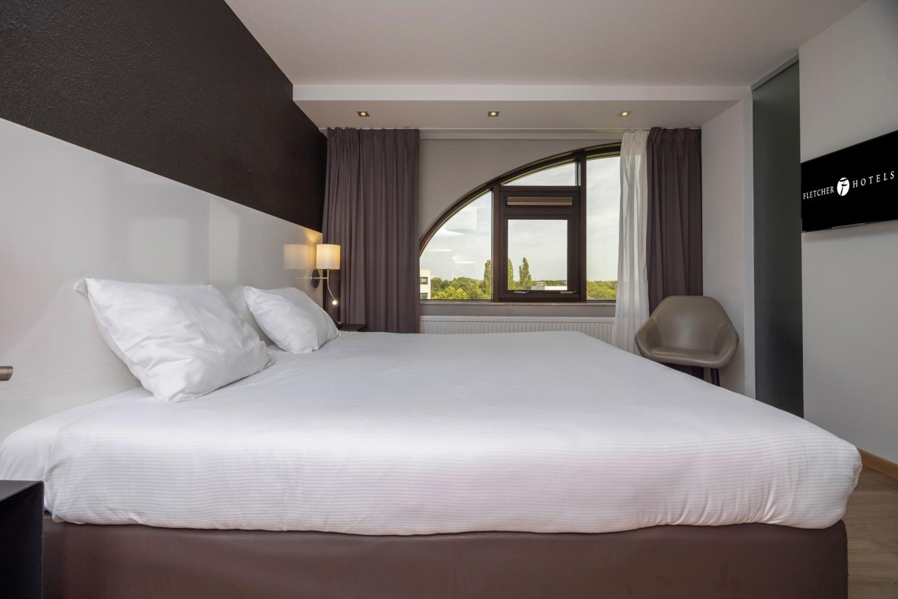 Suite - Photo 1
