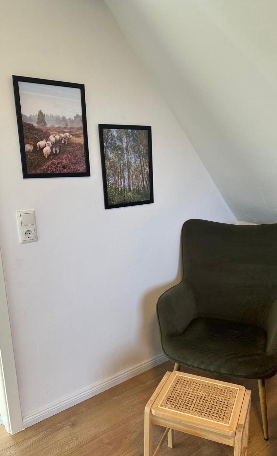 One-Bedroom Apartment photo 3