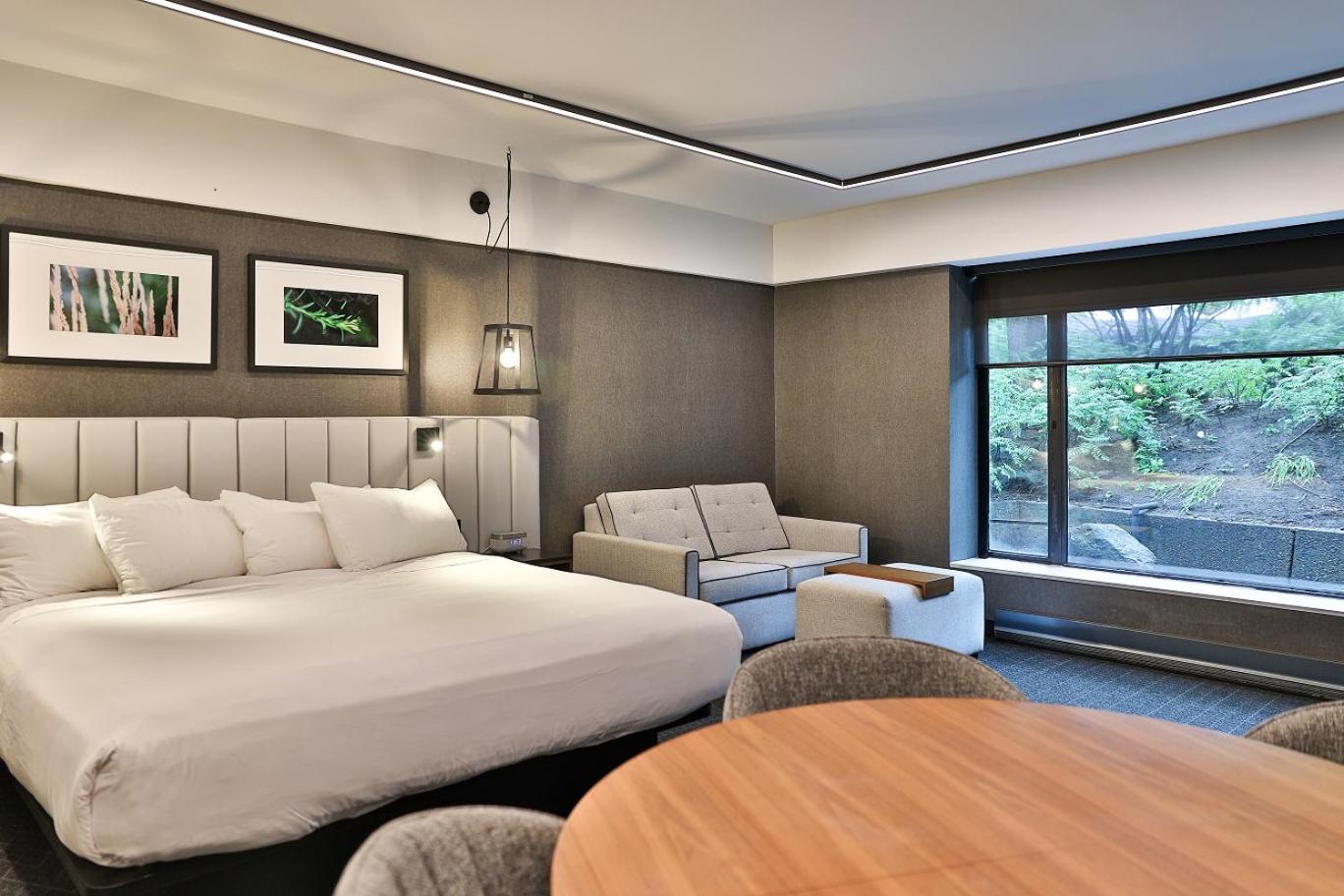 Junior Suite,1 King Bed and 1 Sofabed - Photo 6