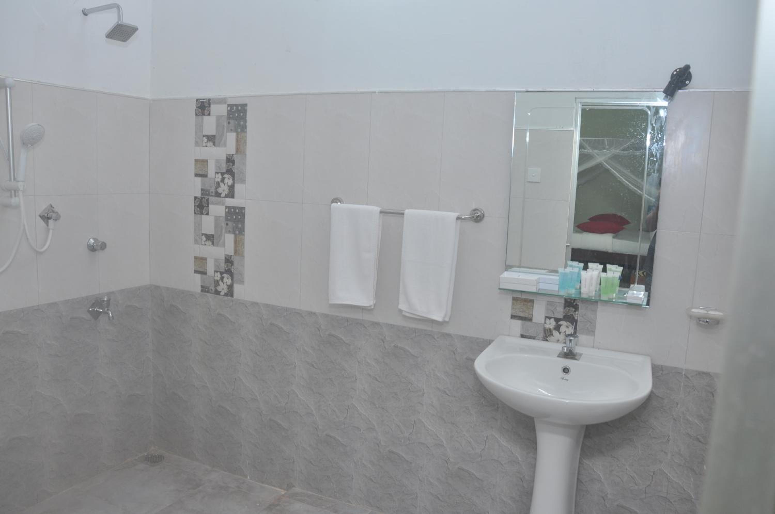 Deluxe Double or Twin Room photo 3