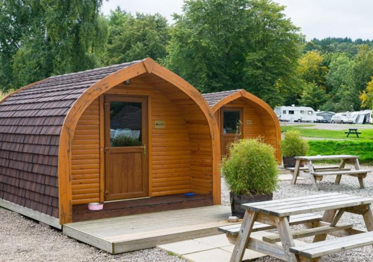 Camping Pod Sleeps 2 (shared bathroom) photo 2