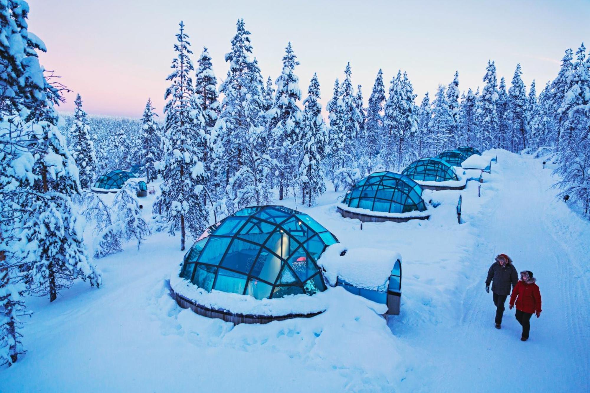 East Glass Igloo (2 Adults) photo 2