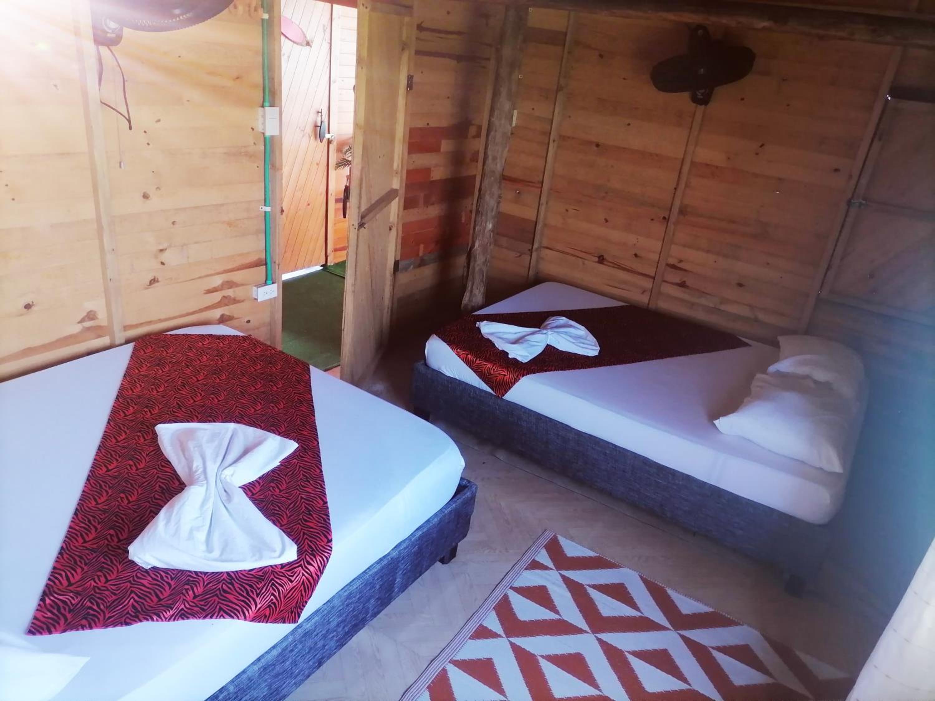 Deluxe Twin Room photo 3