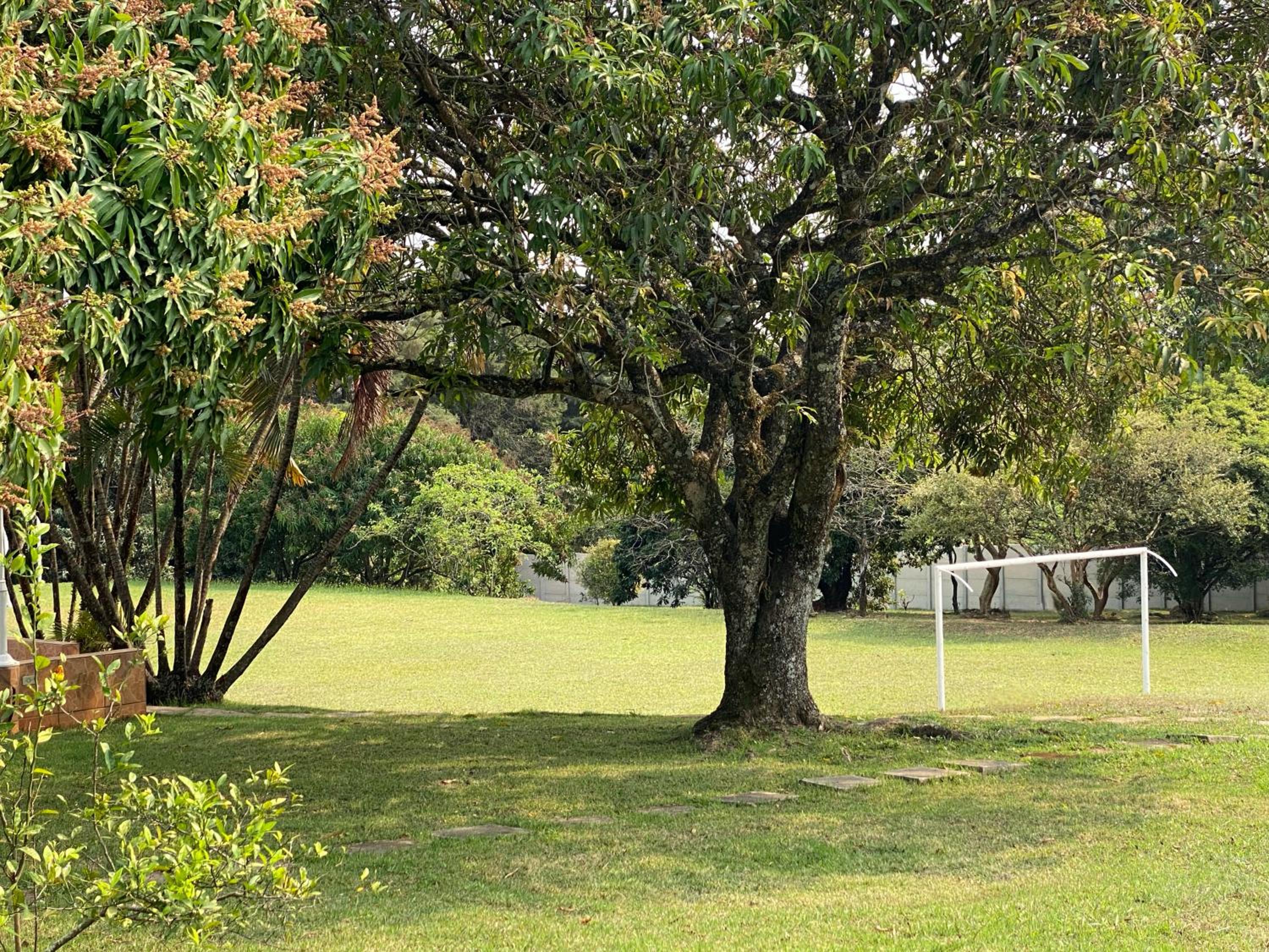 Holiday Home photo 3