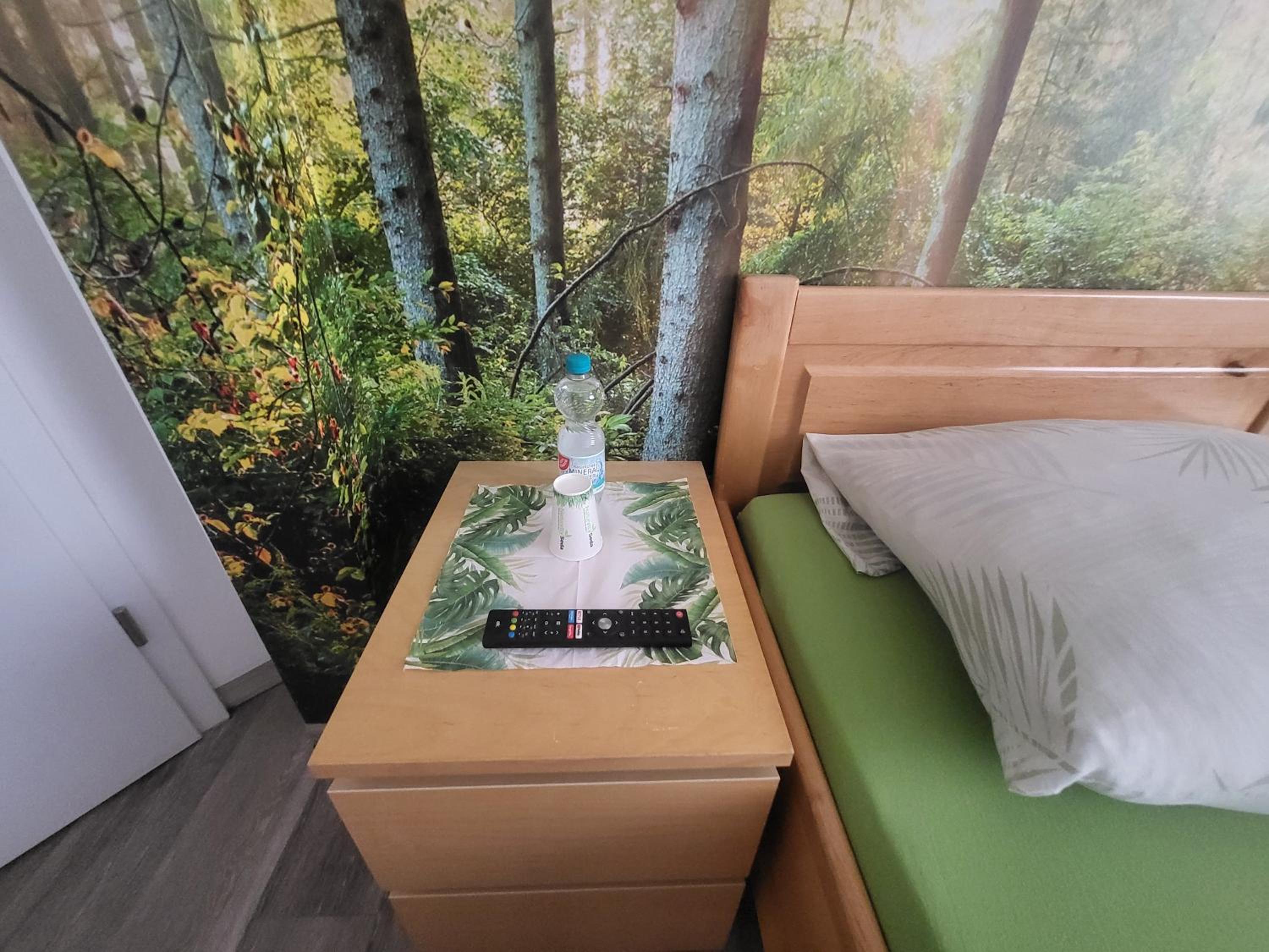 Double or Twin Room - Disability Access
