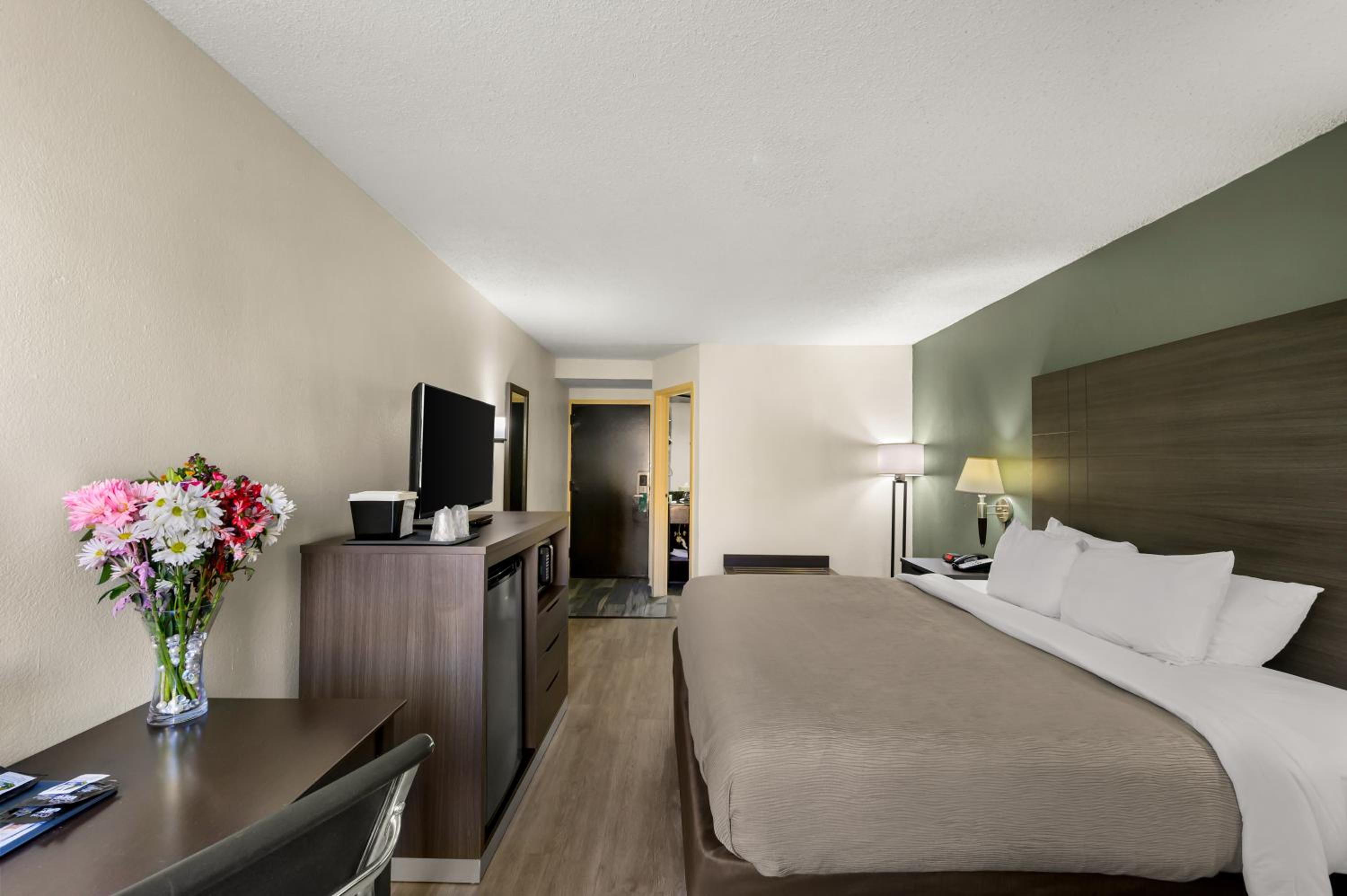 King Room - Non-Smoking - Photo 5