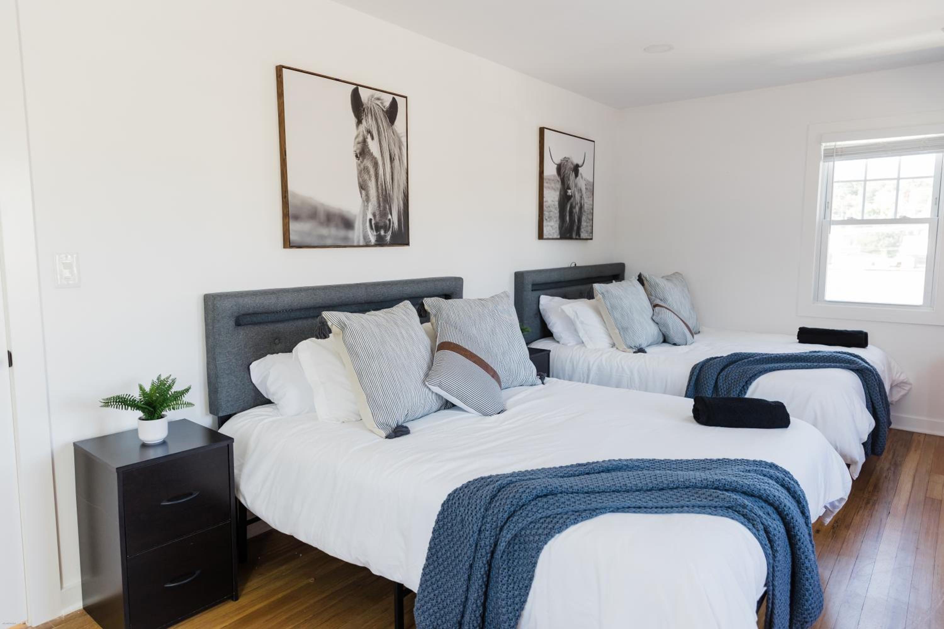 One-Bedroom House photo 1