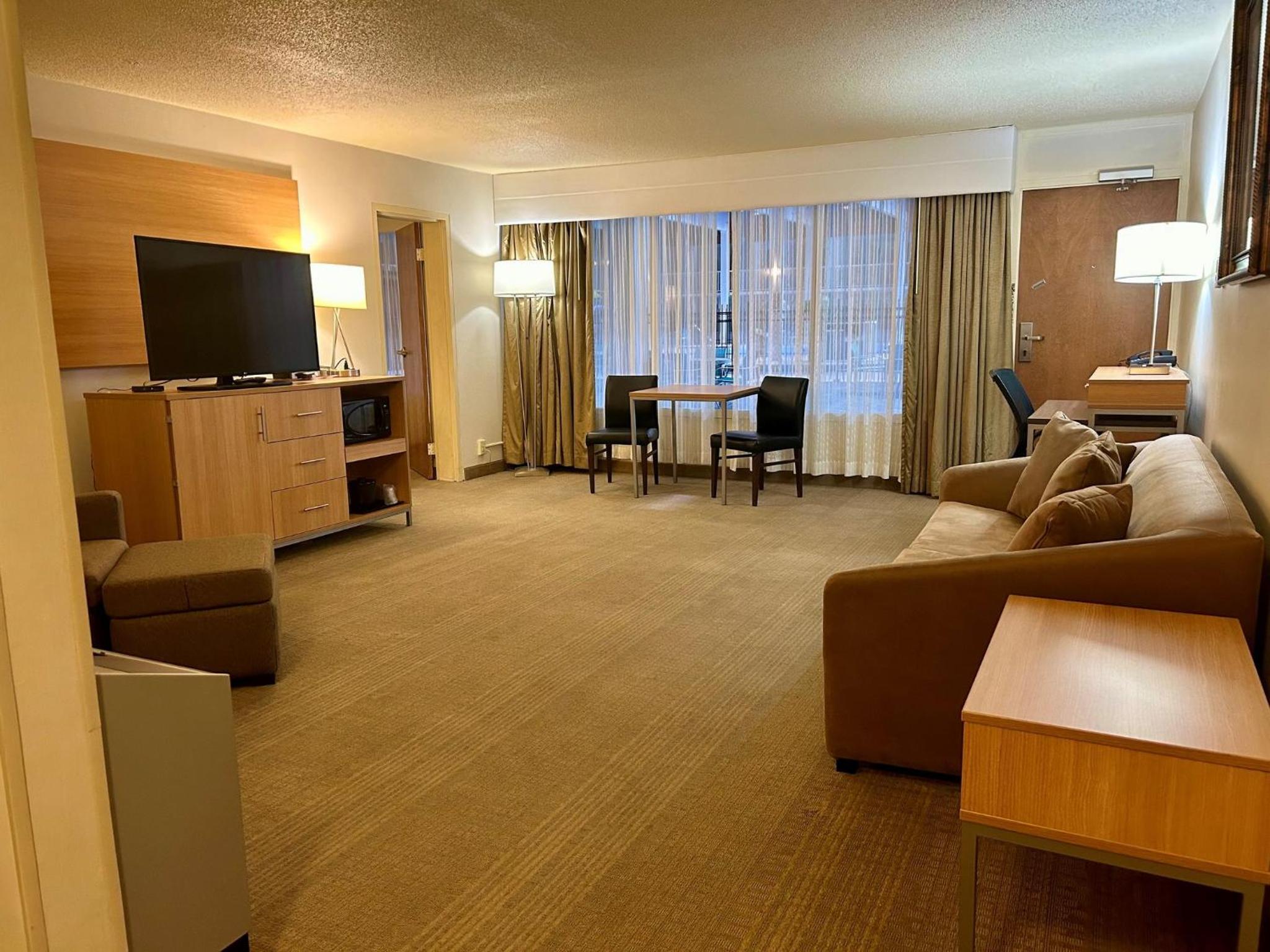 One-Bedroom Suite photo 3
