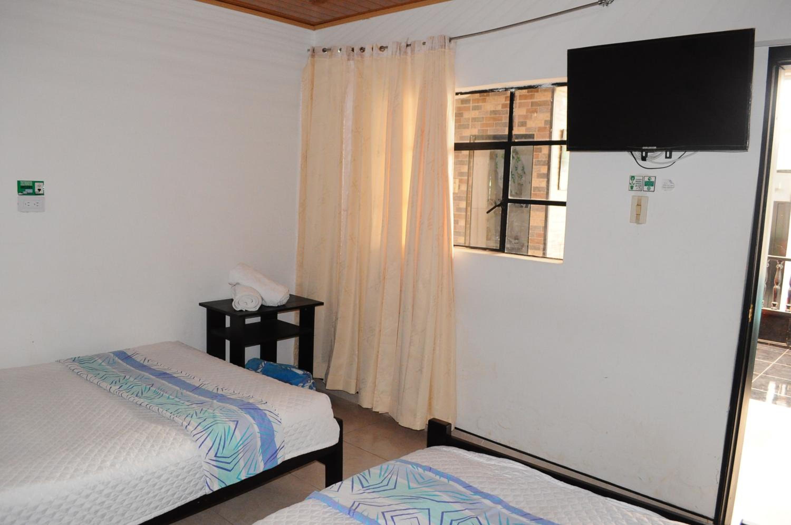 Twin Room photo 2