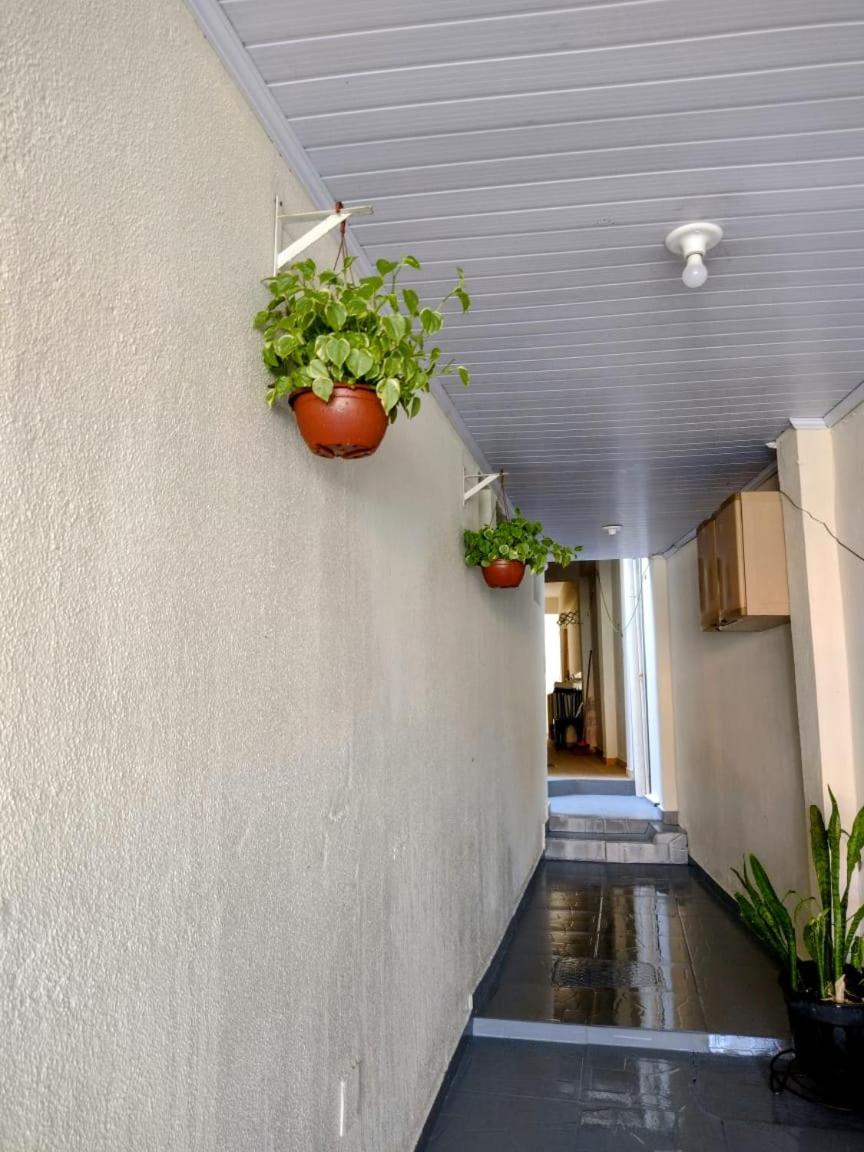 One-Bedroom Apartment photo 3