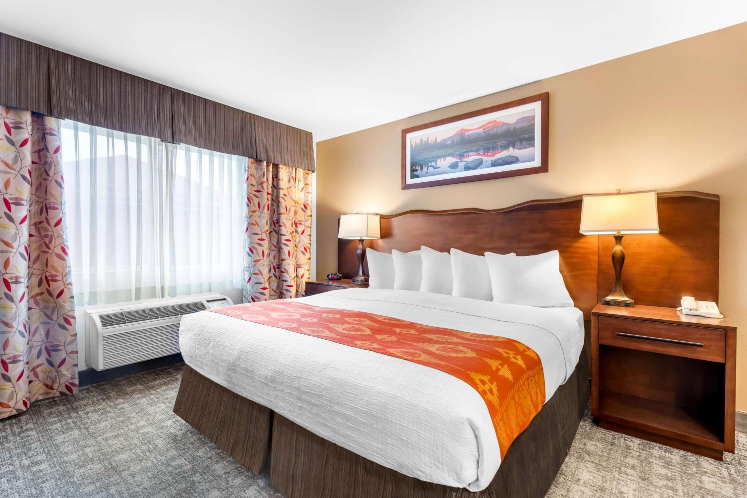 King Room - Pet Friendly - Photo 1