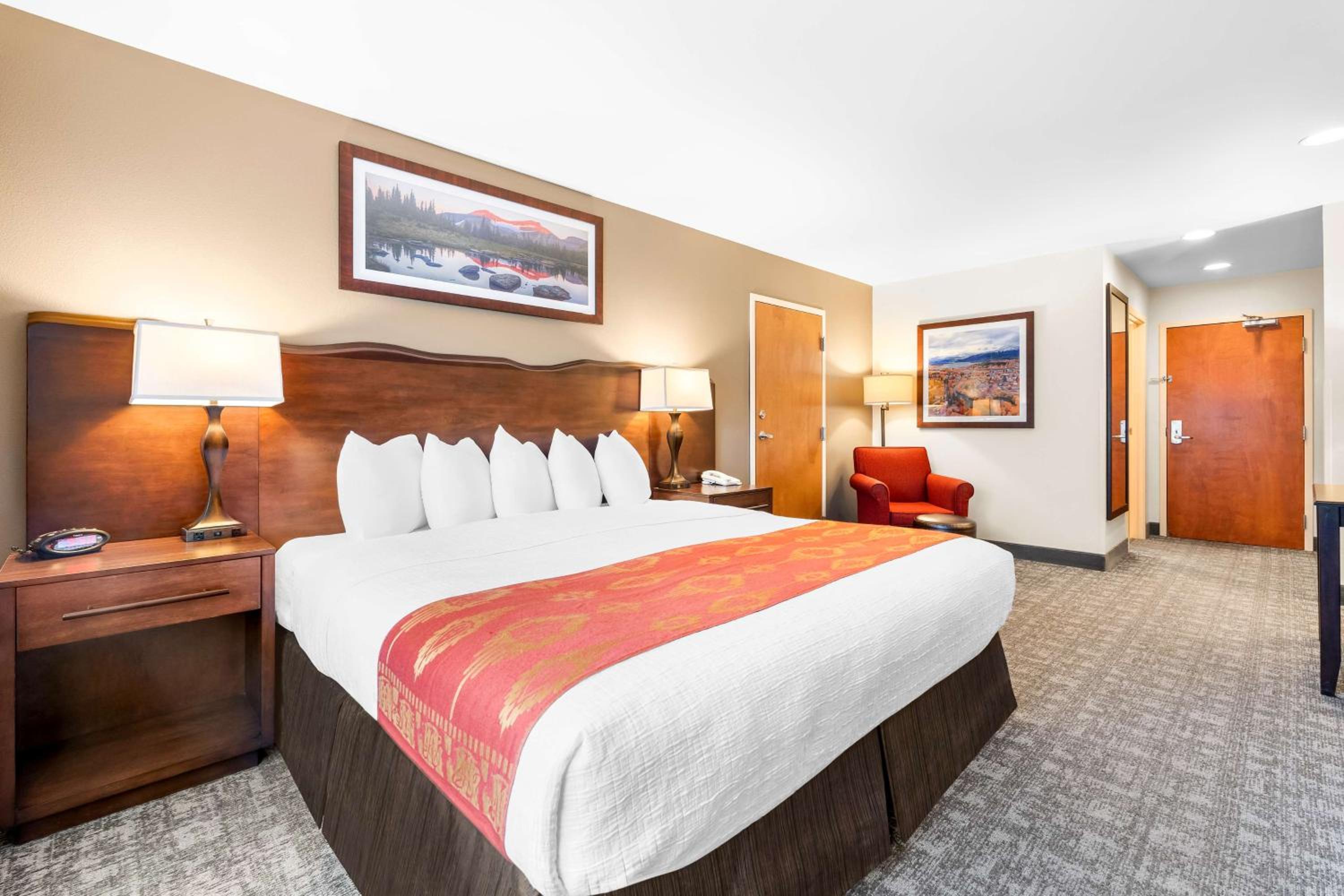 King Room - Pet Friendly - Photo 3
