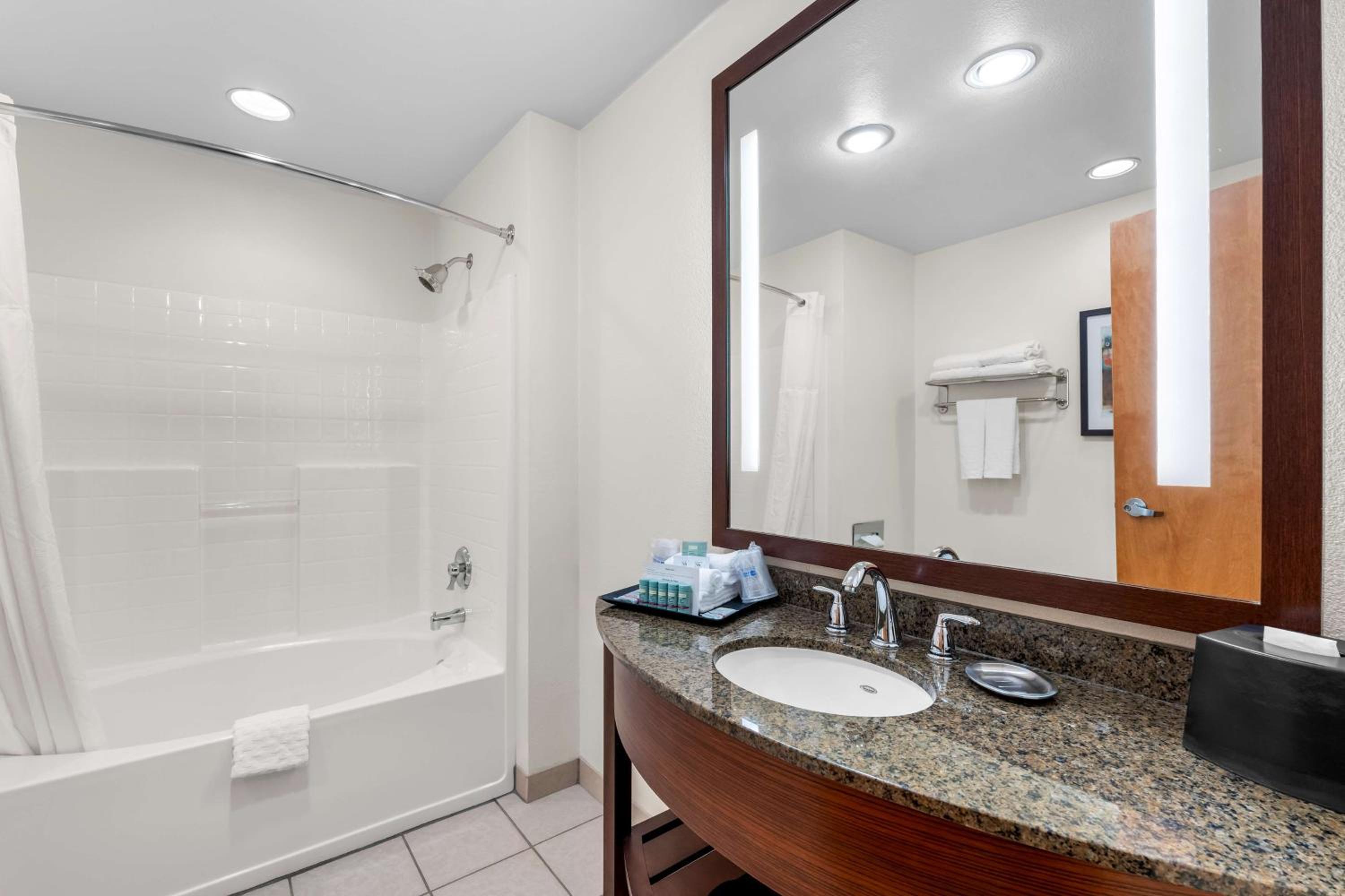 King Room - Pet Friendly - Photo 2