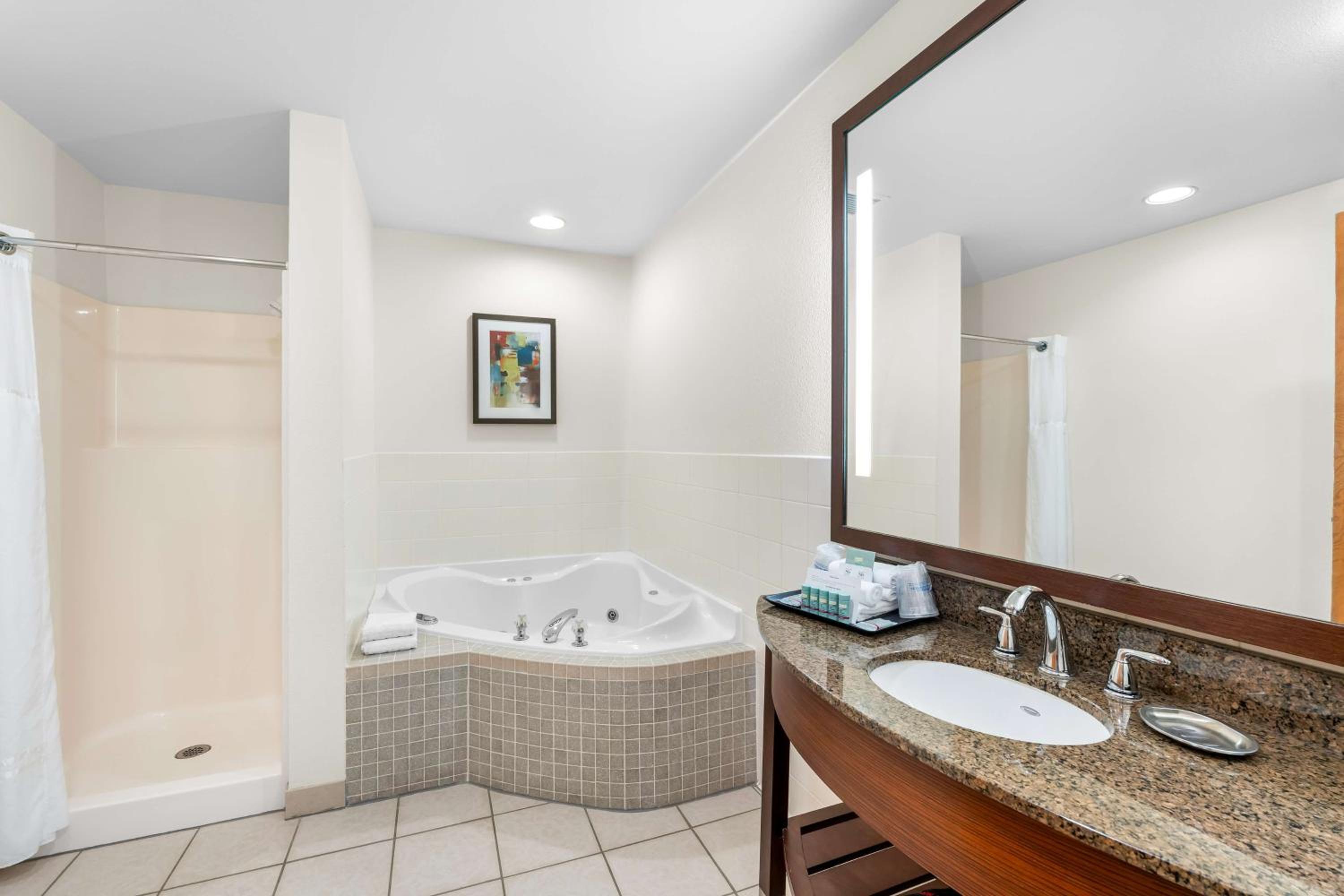 King Suite with Sofa Bed - Photo 4