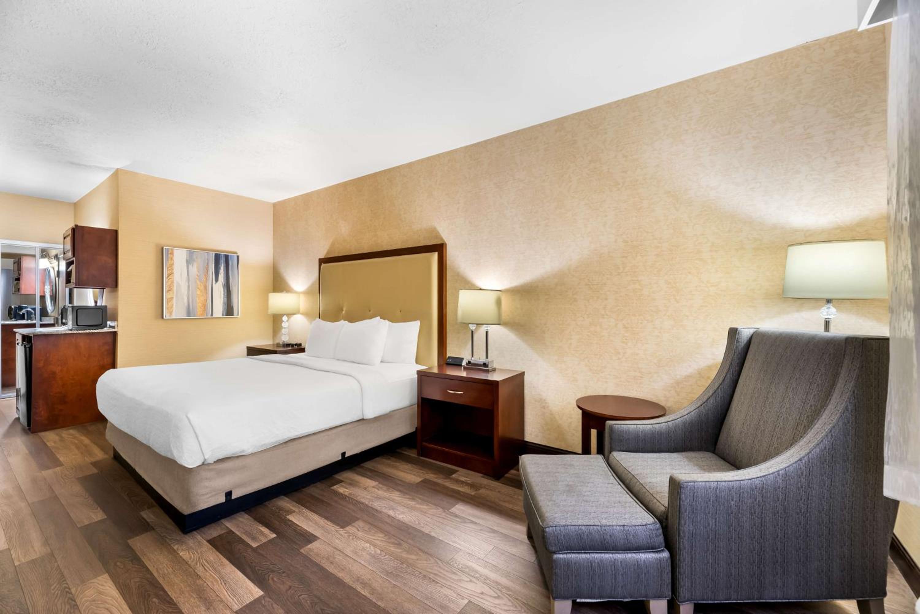 King Room - Pet Friendly/First Floor - Photo 4