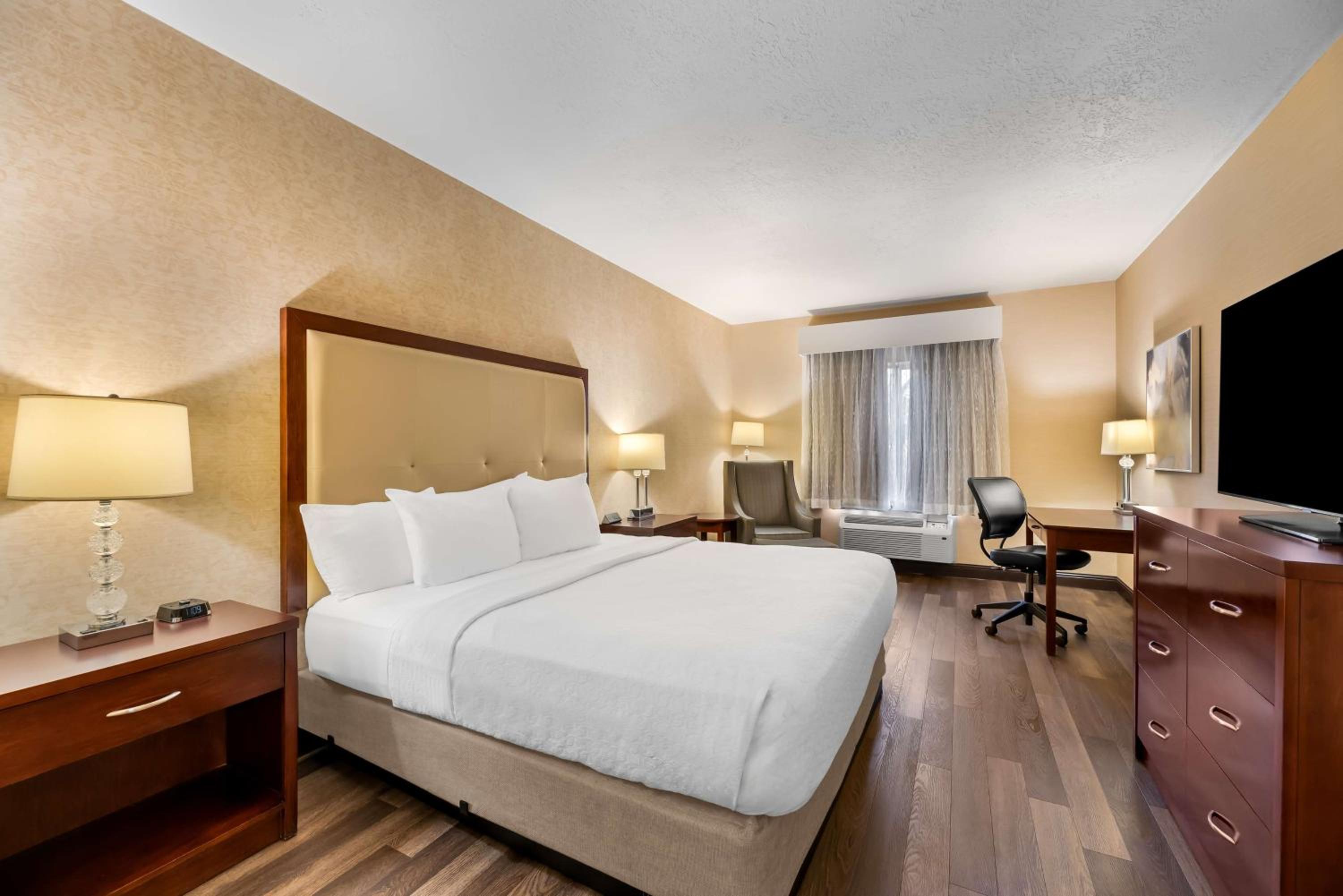 King Room - Pet Friendly/First Floor - Photo 2