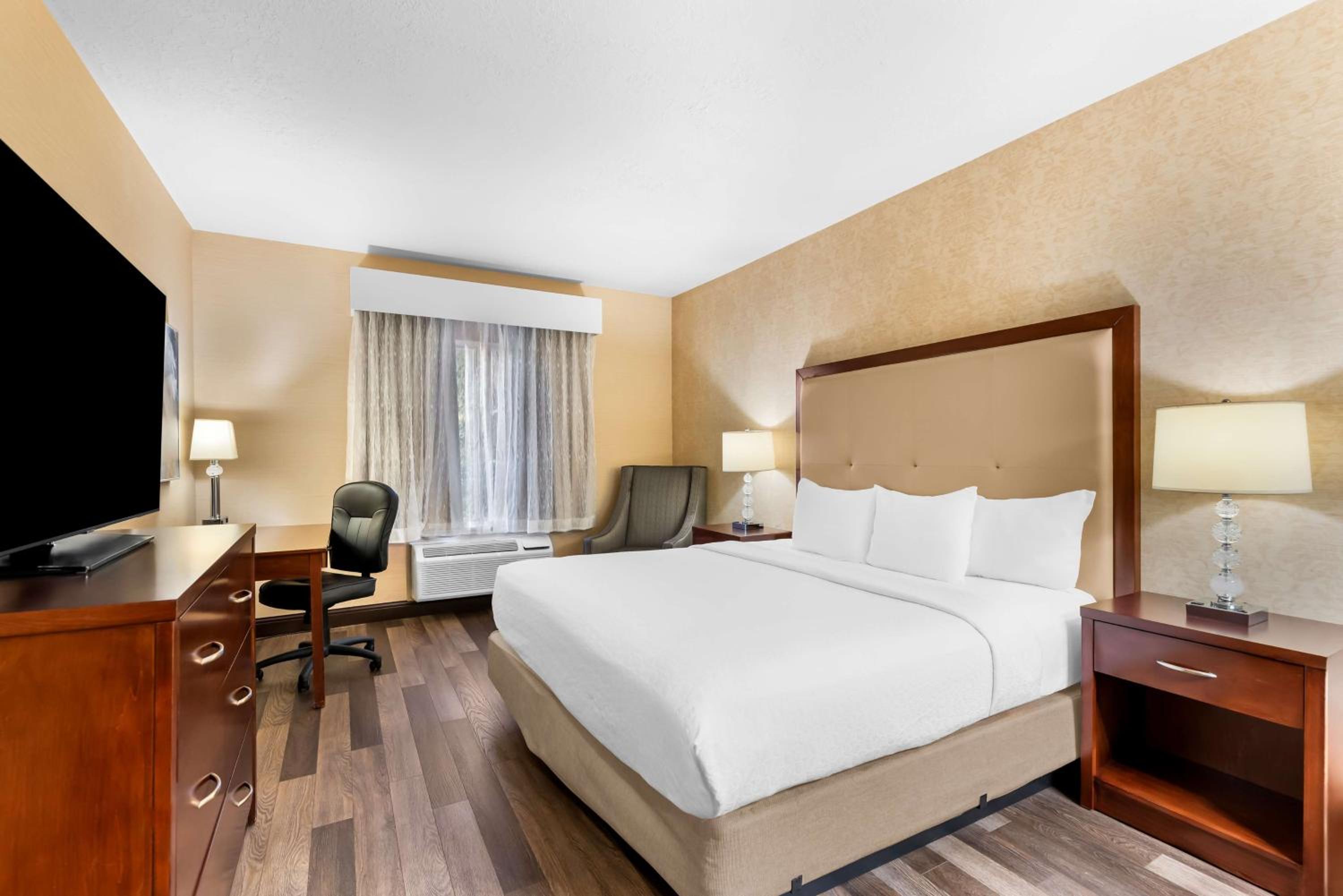 King Room - Pet Friendly/First Floor - Photo 1