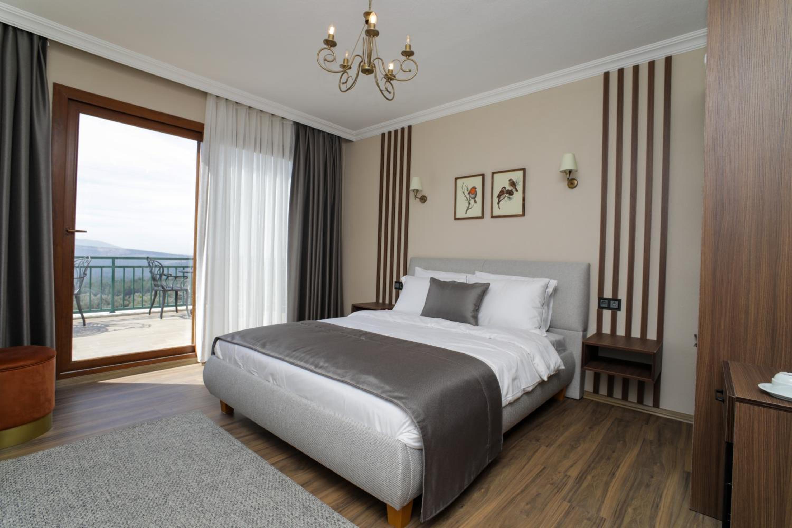 Double Room with Mountain View photo 1