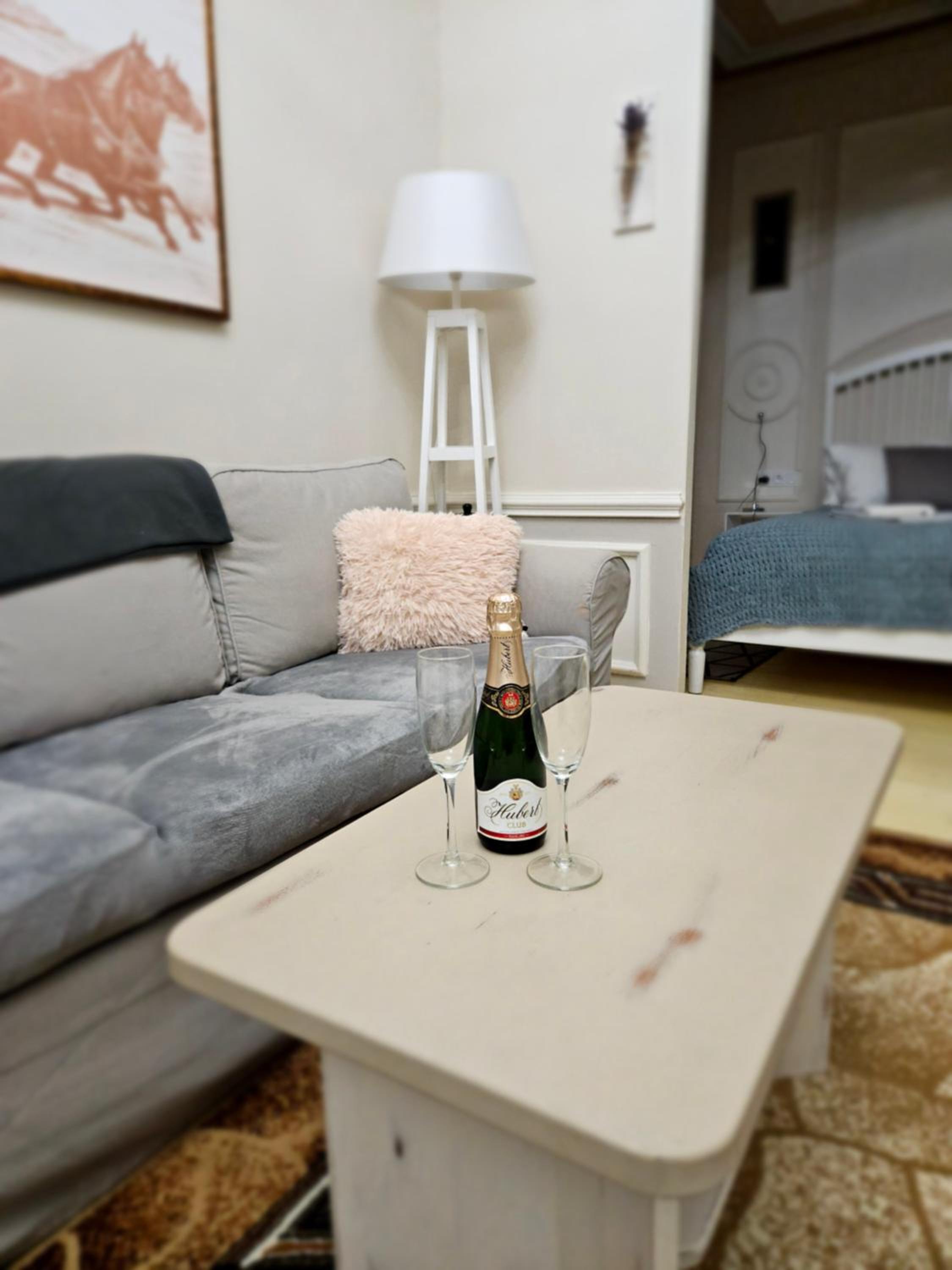 One-Bedroom Apartment - Photo 16
