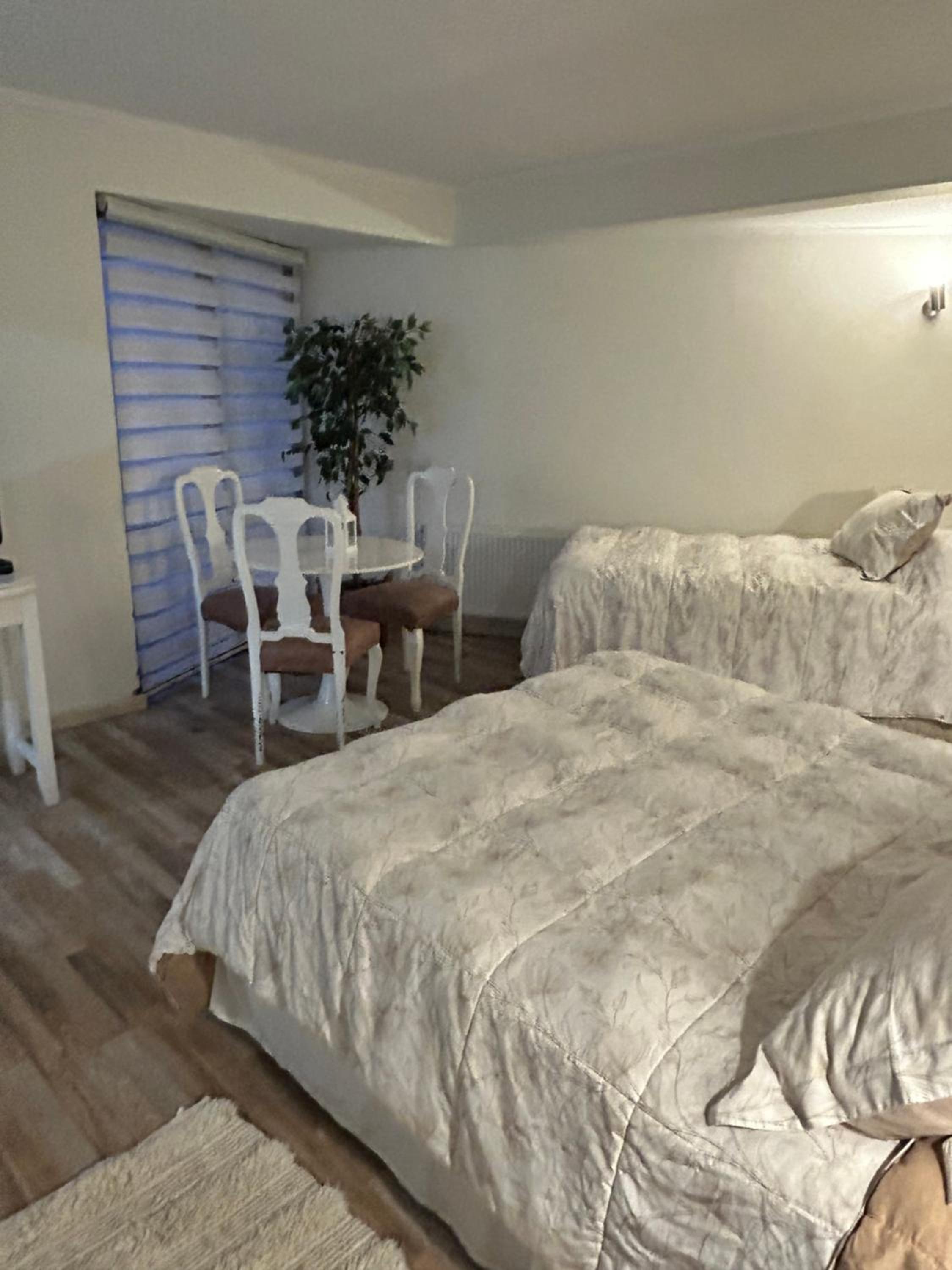 Twin Room photo 2