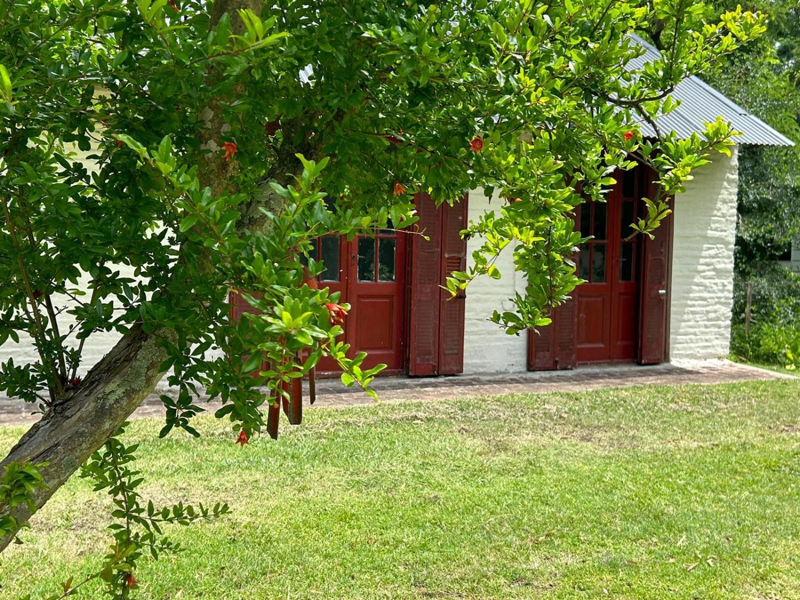 Two-Bedroom House photo 2