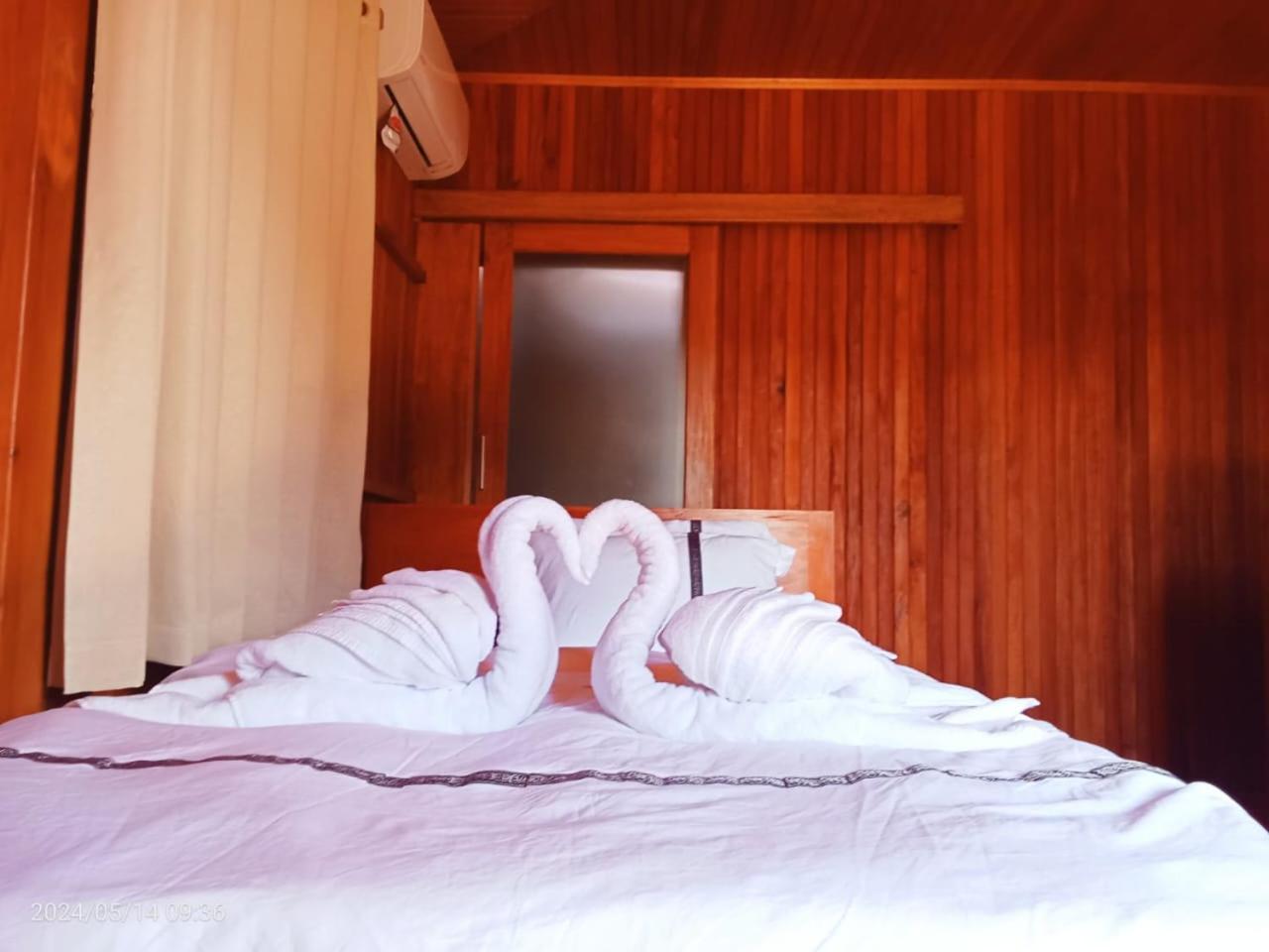 Twin Room photo 2