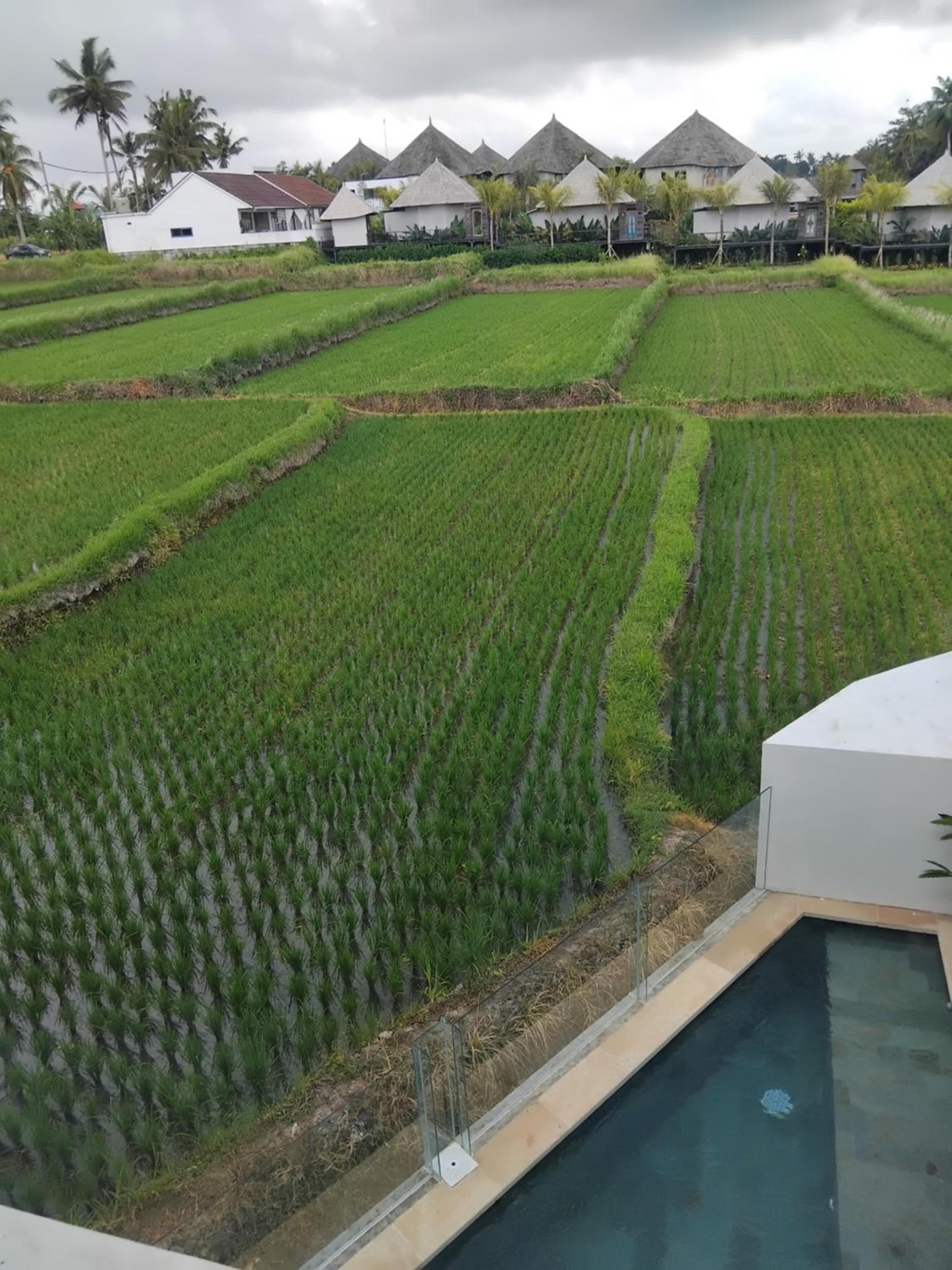 Two-Bedroom Villa - Photo 10