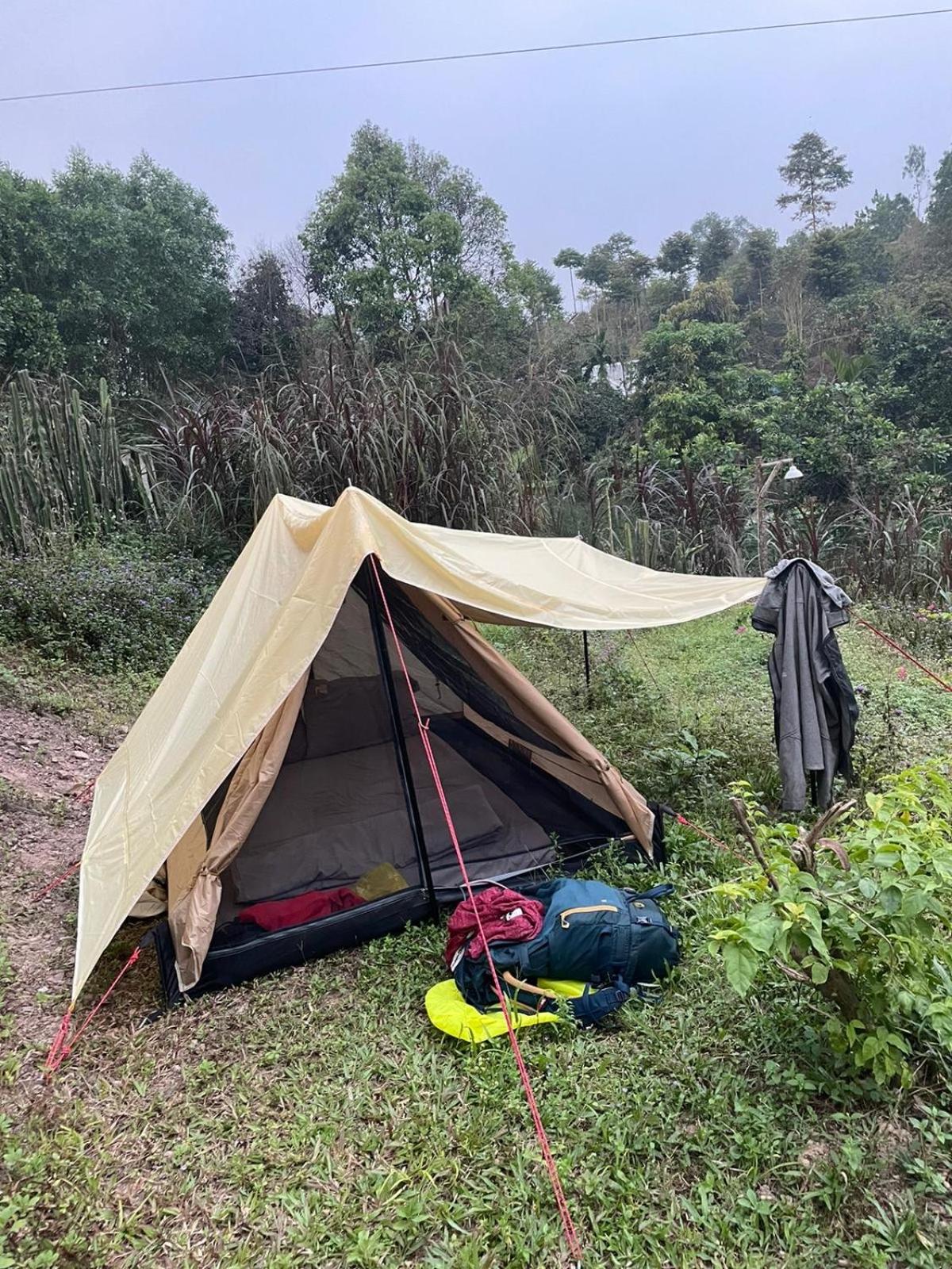 Tent photo 2