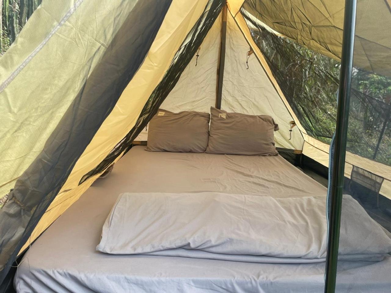 Tent photo 1