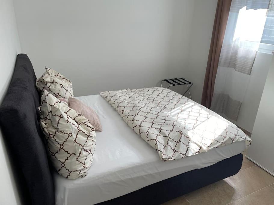 One-Bedroom Apartment photo 3