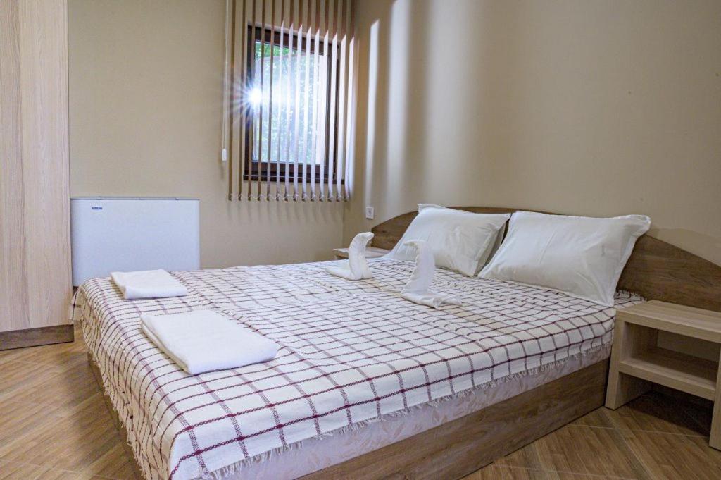 Twin Room photo 1