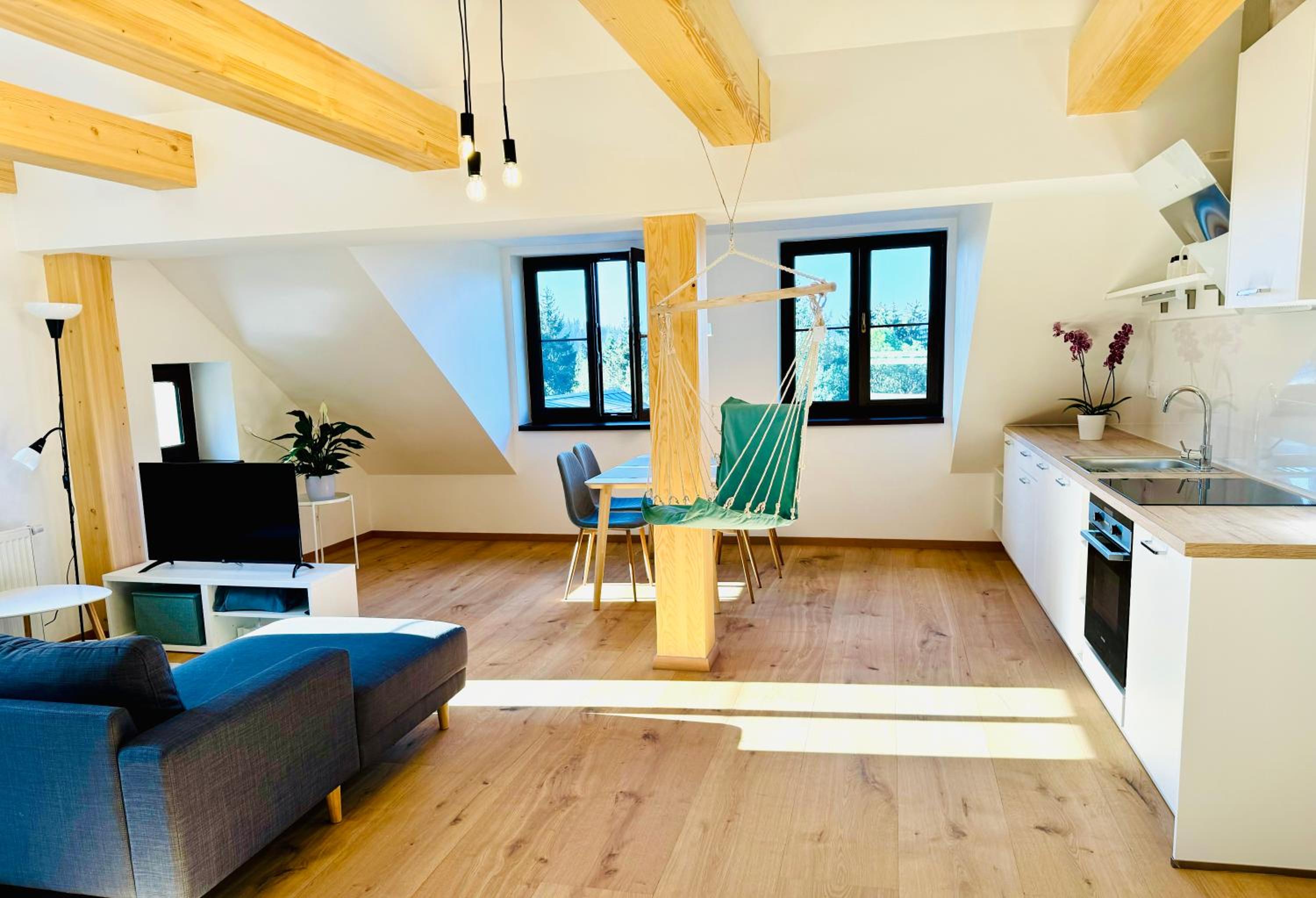 Two-Bedroom Apartment With Mountain View photo 3