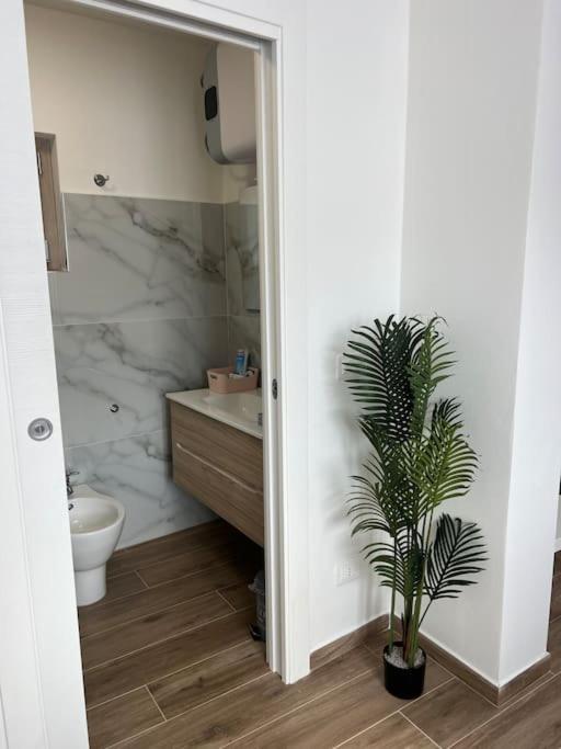 One-Bedroom House photo 3