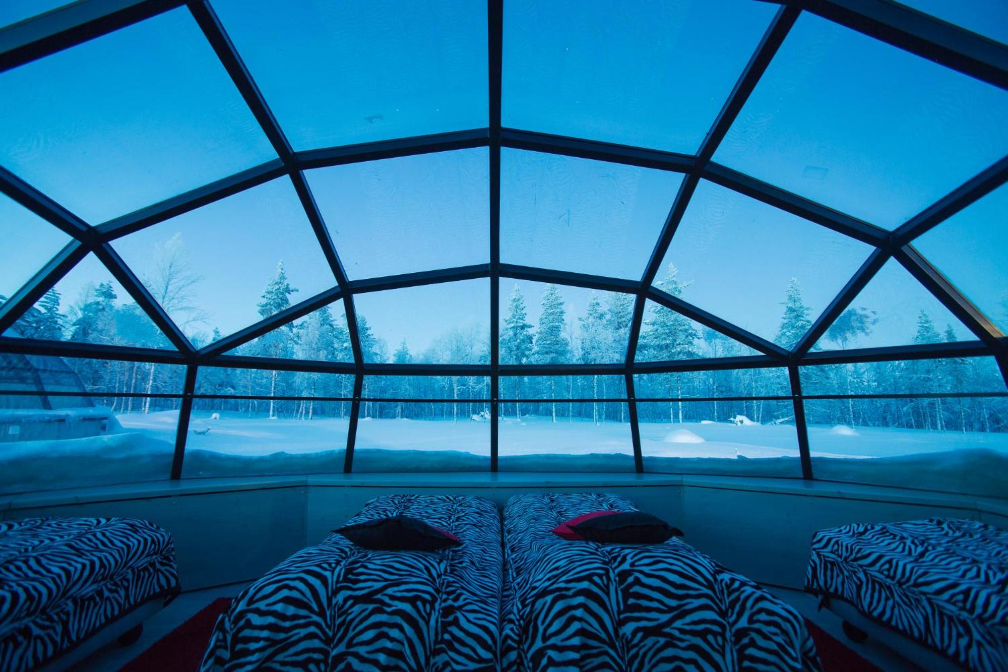 Large Glass Igloo (West Village) photo 2