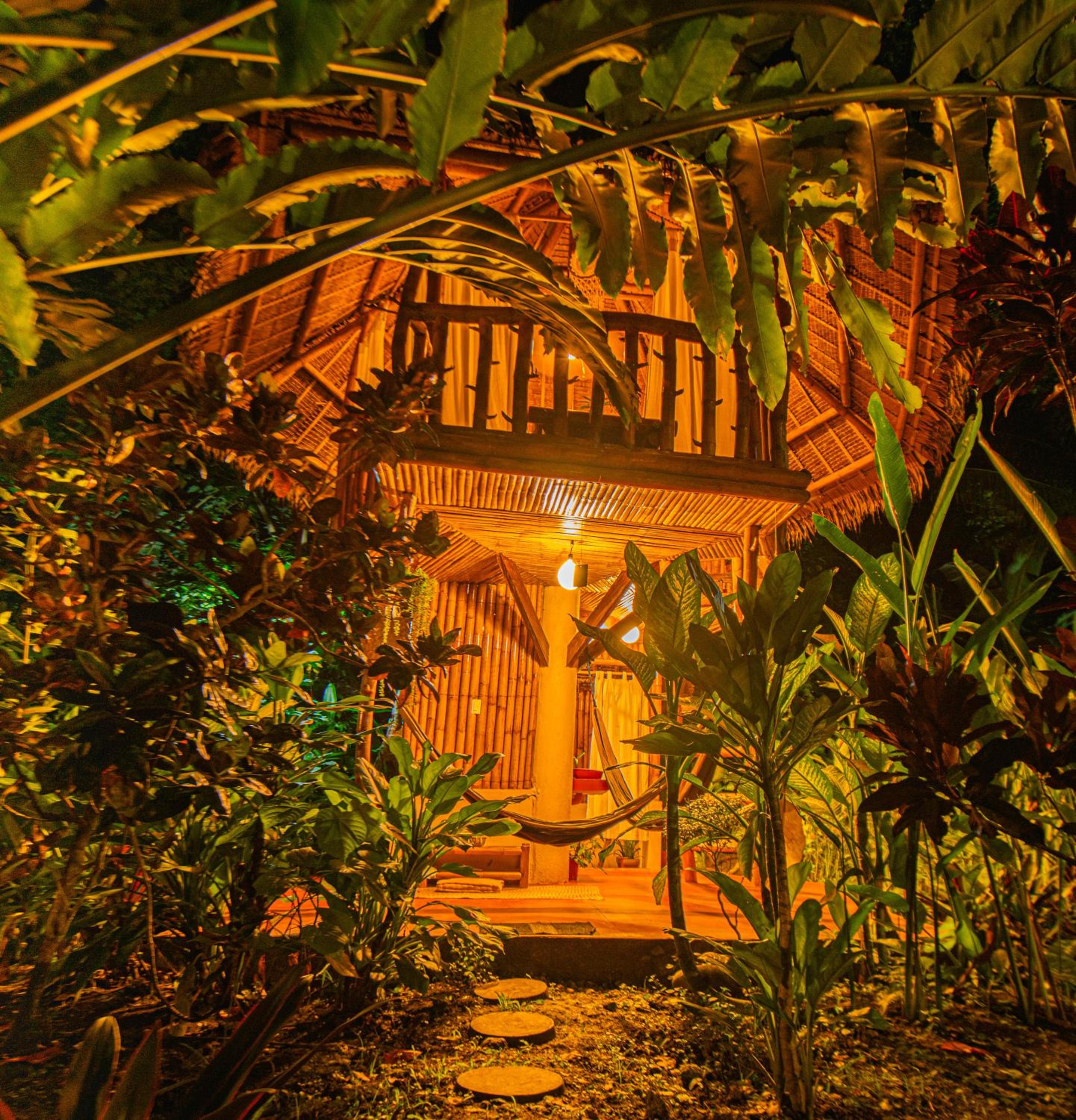 Tree house with private bathroom - Photo 14