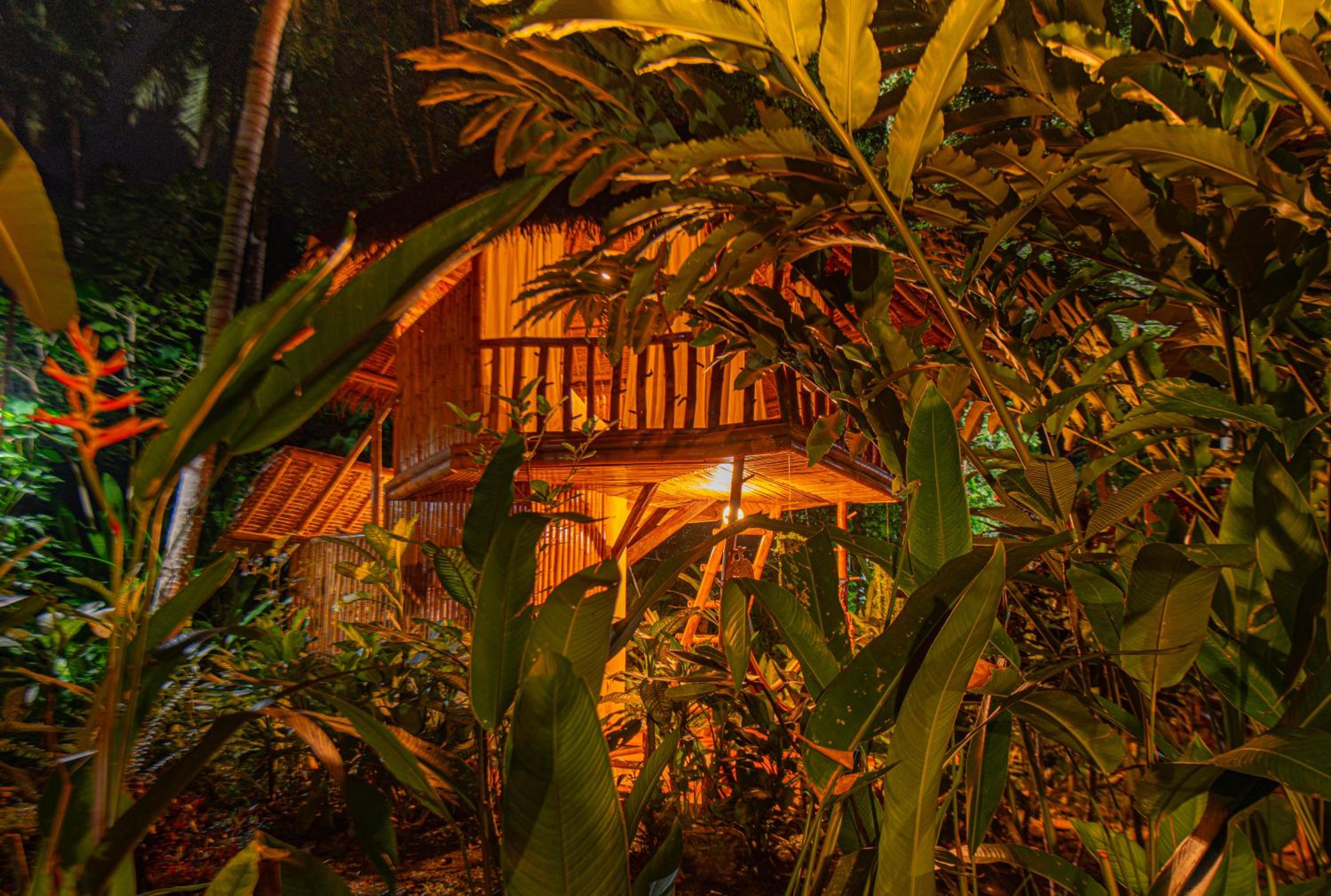 Tree house with private bathroom - Photo 12