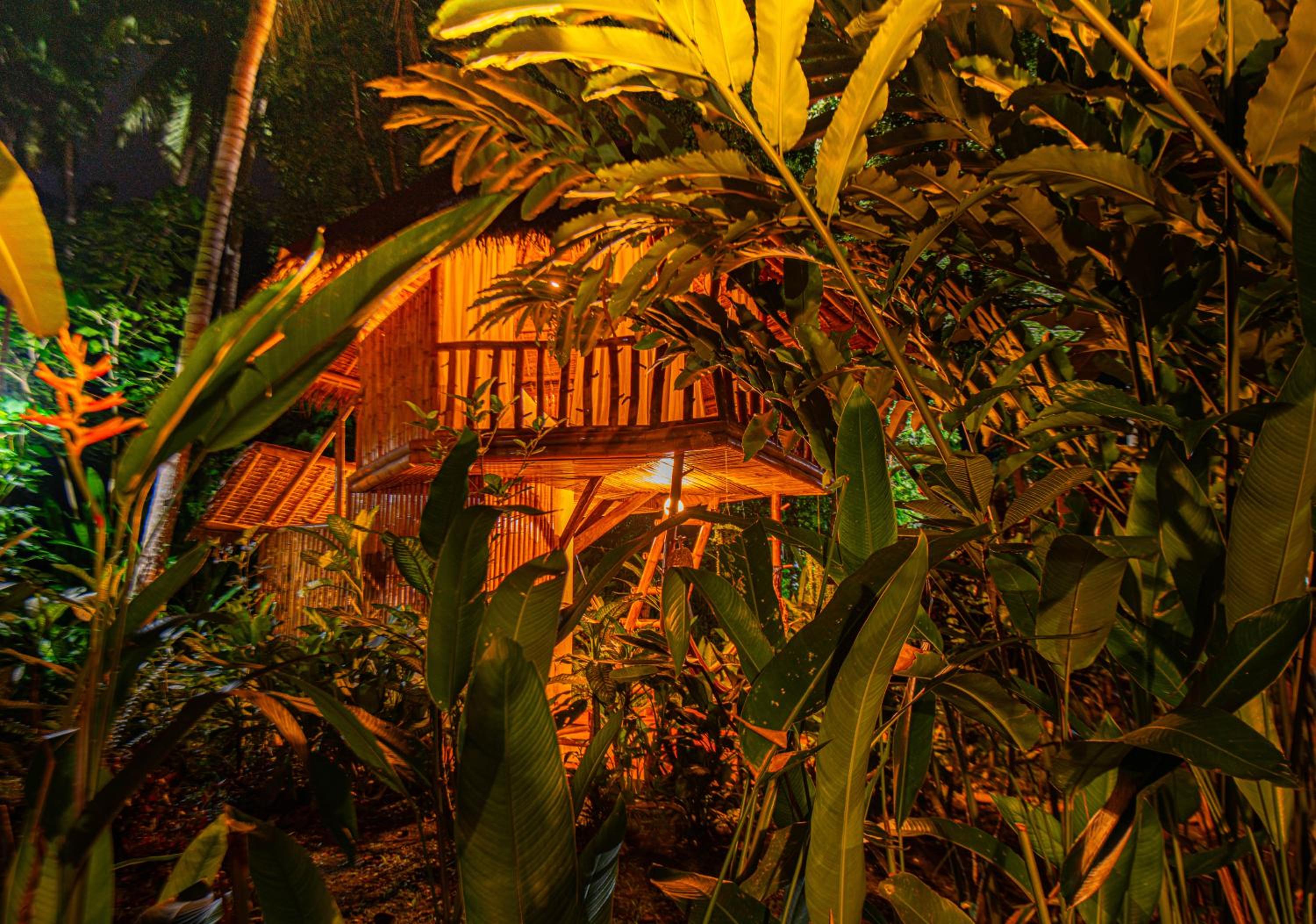 Tree house with private bathroom - Photo 13